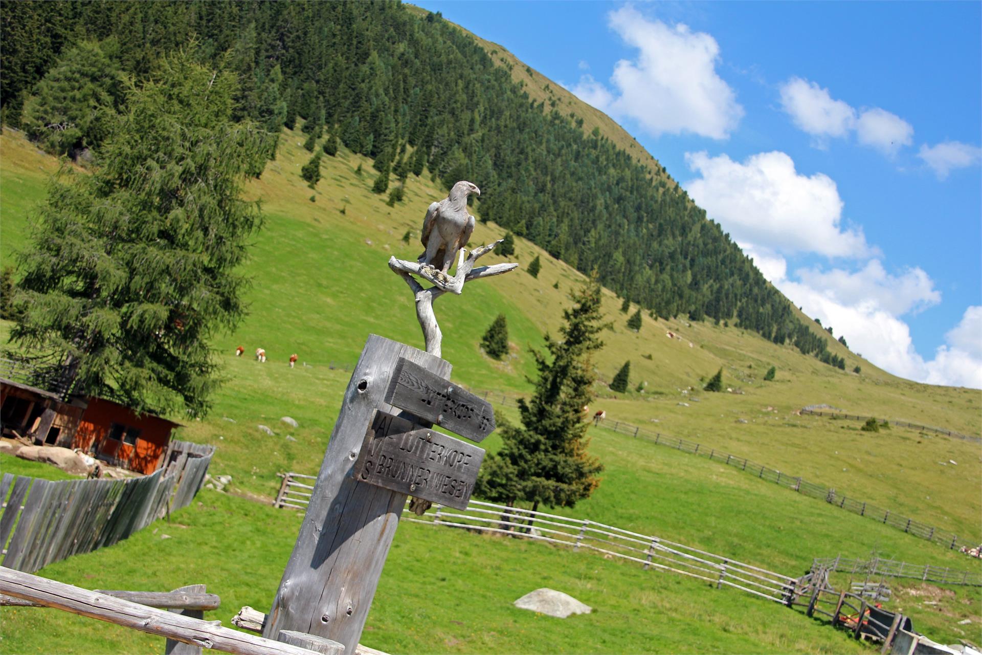 Schmözlhof Welsberg-Taisten 24 suedtirol.info