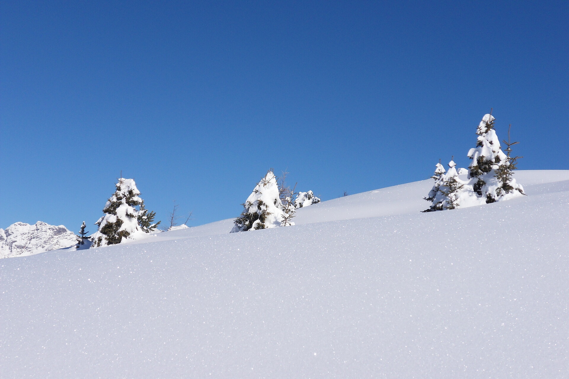 Winterlandschaft