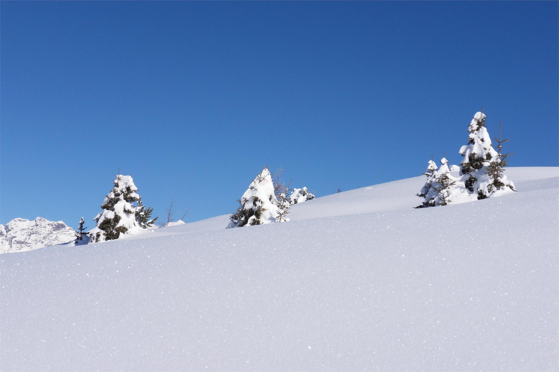 Schmözlhof Welsberg-Taisten 15 suedtirol.info