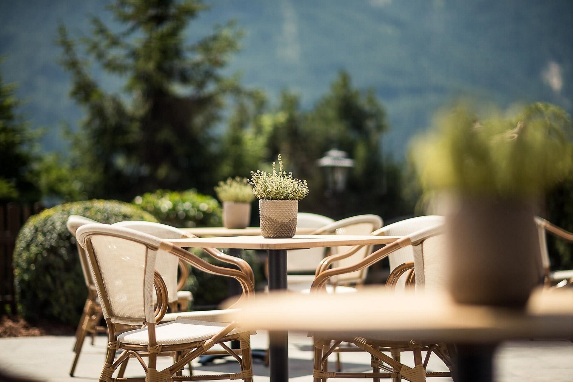Sonus Alpis terrace