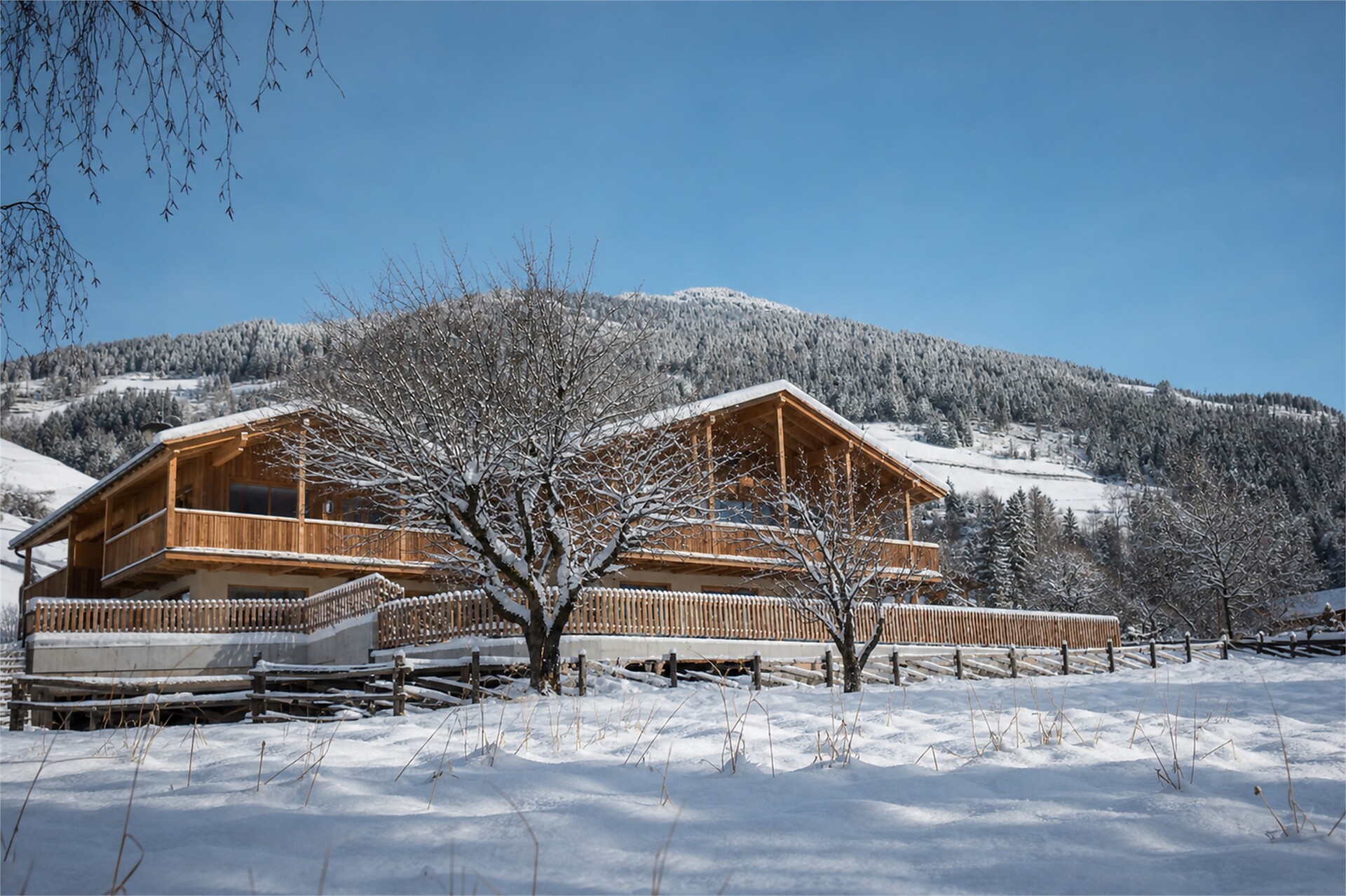 Sunnseit Apartments - Merano e dintorni - #25 - suedtirol.info