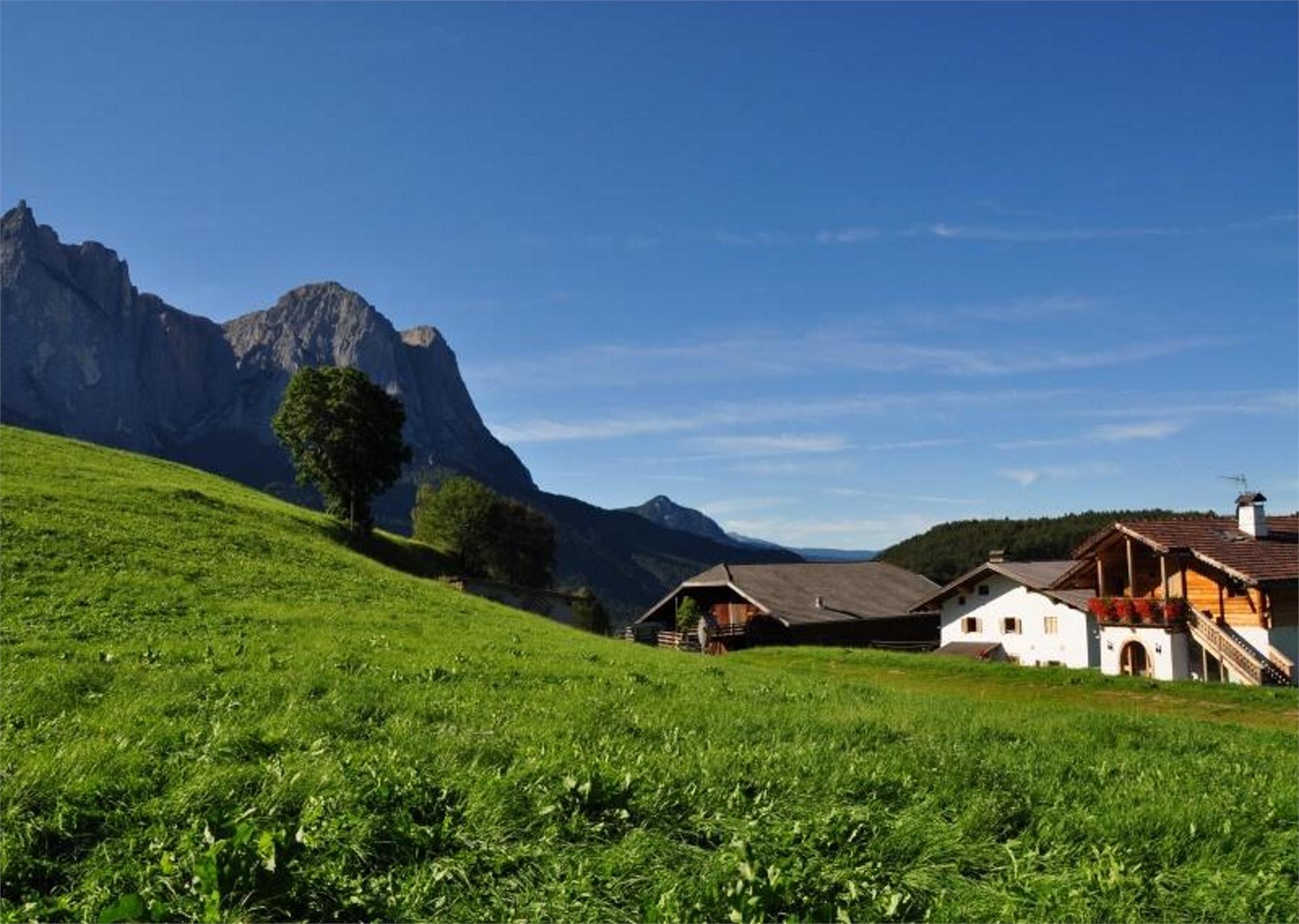 Stampfeterhof Kastelruth/Castelrotto 4 suedtirol.info