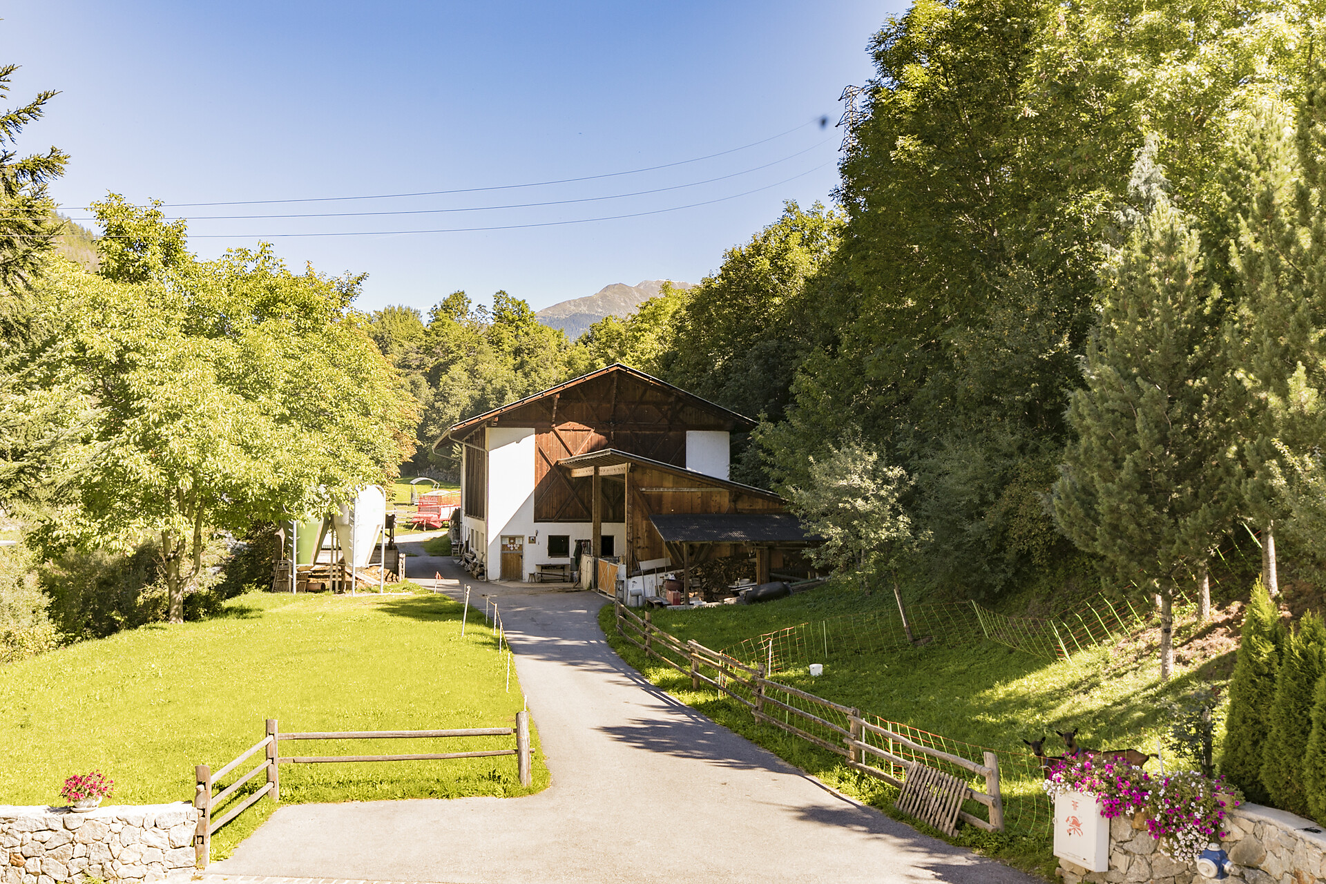 Farm