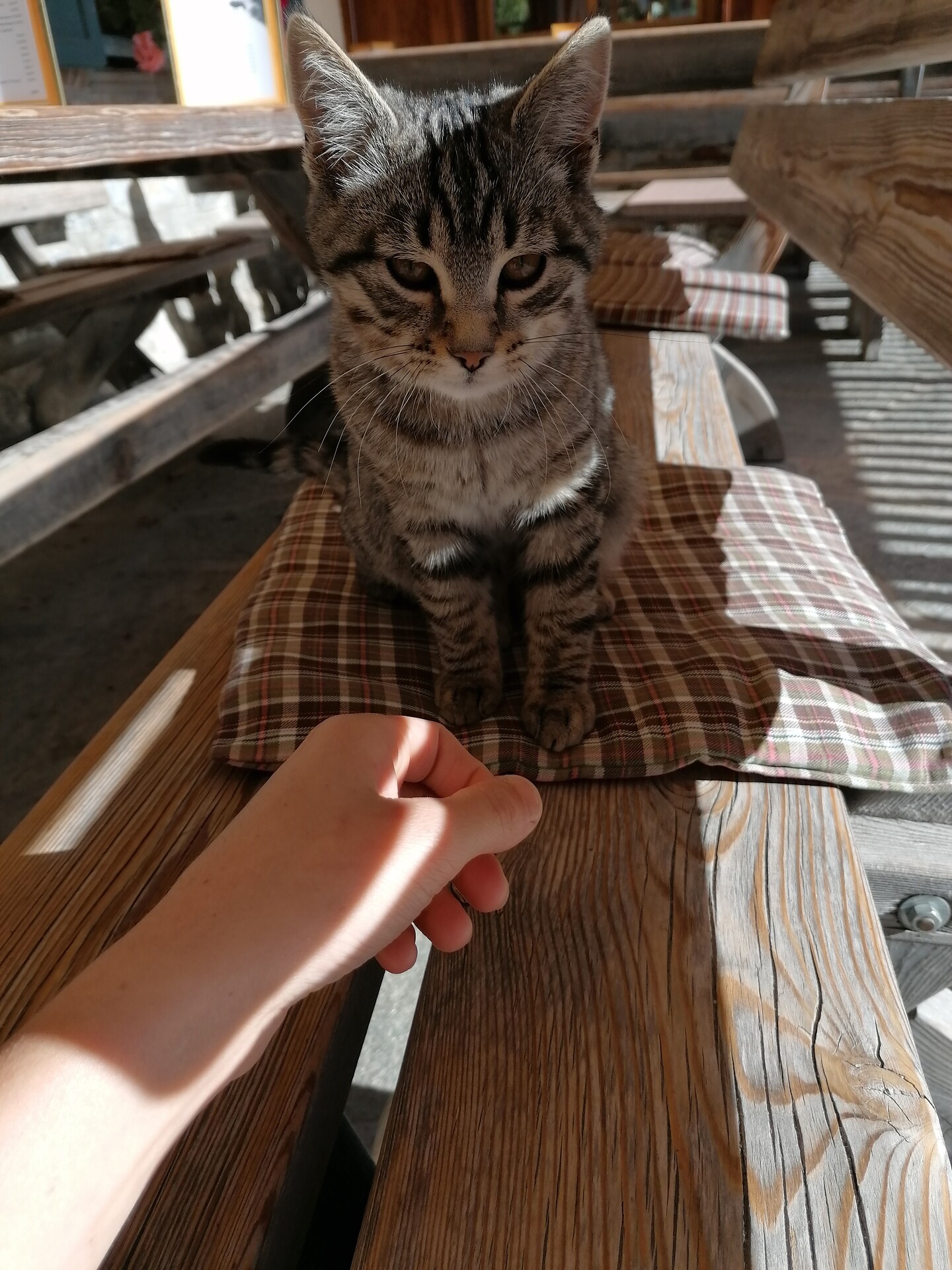 Speckstube Tlisöra