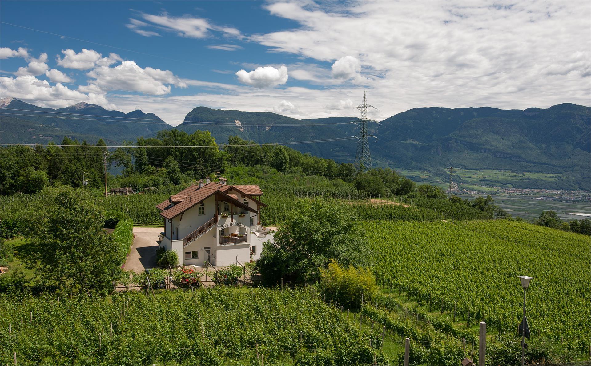Steinhöfl Kaltern an der Weinstraße/Caldaro sulla Strada del Vino 1 suedtirol.info