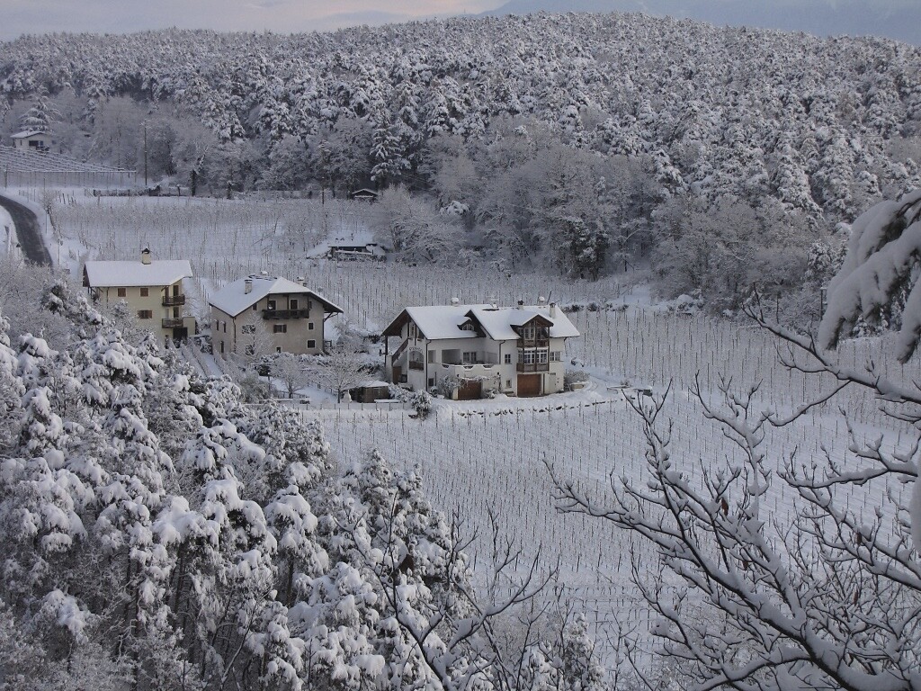 Steinhöfl