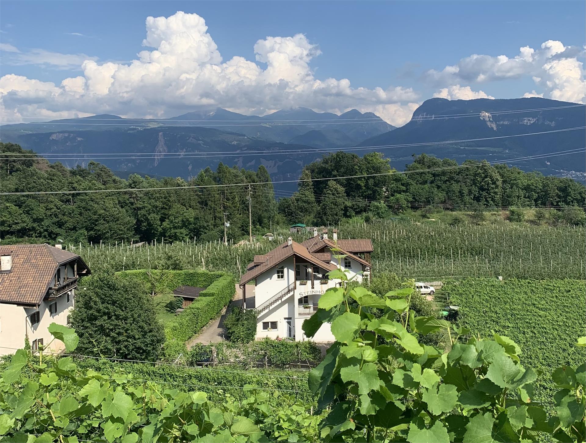 Steinhöfl Kaltern an der Weinstraße/Caldaro sulla Strada del Vino 3 suedtirol.info