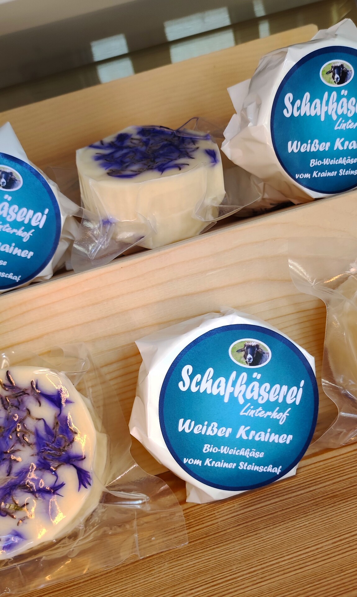 Stellplätze Adlerhorst