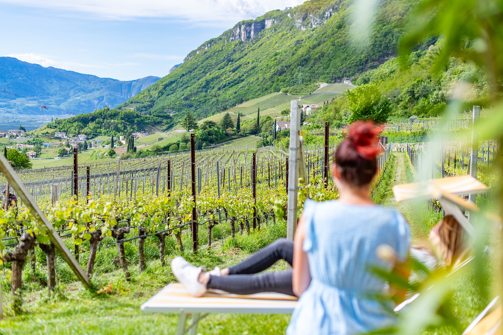 Söllerhof Tramin an der Weinstraße 16 suedtirol.info
