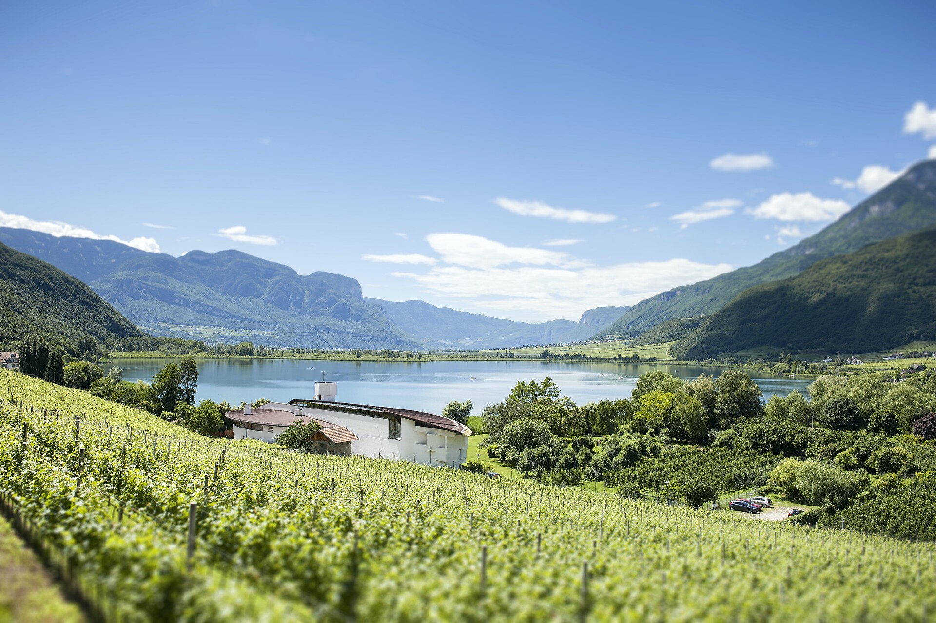 Seehotel Ambach Kaltern an der Weinstraße 28 suedtirol.info