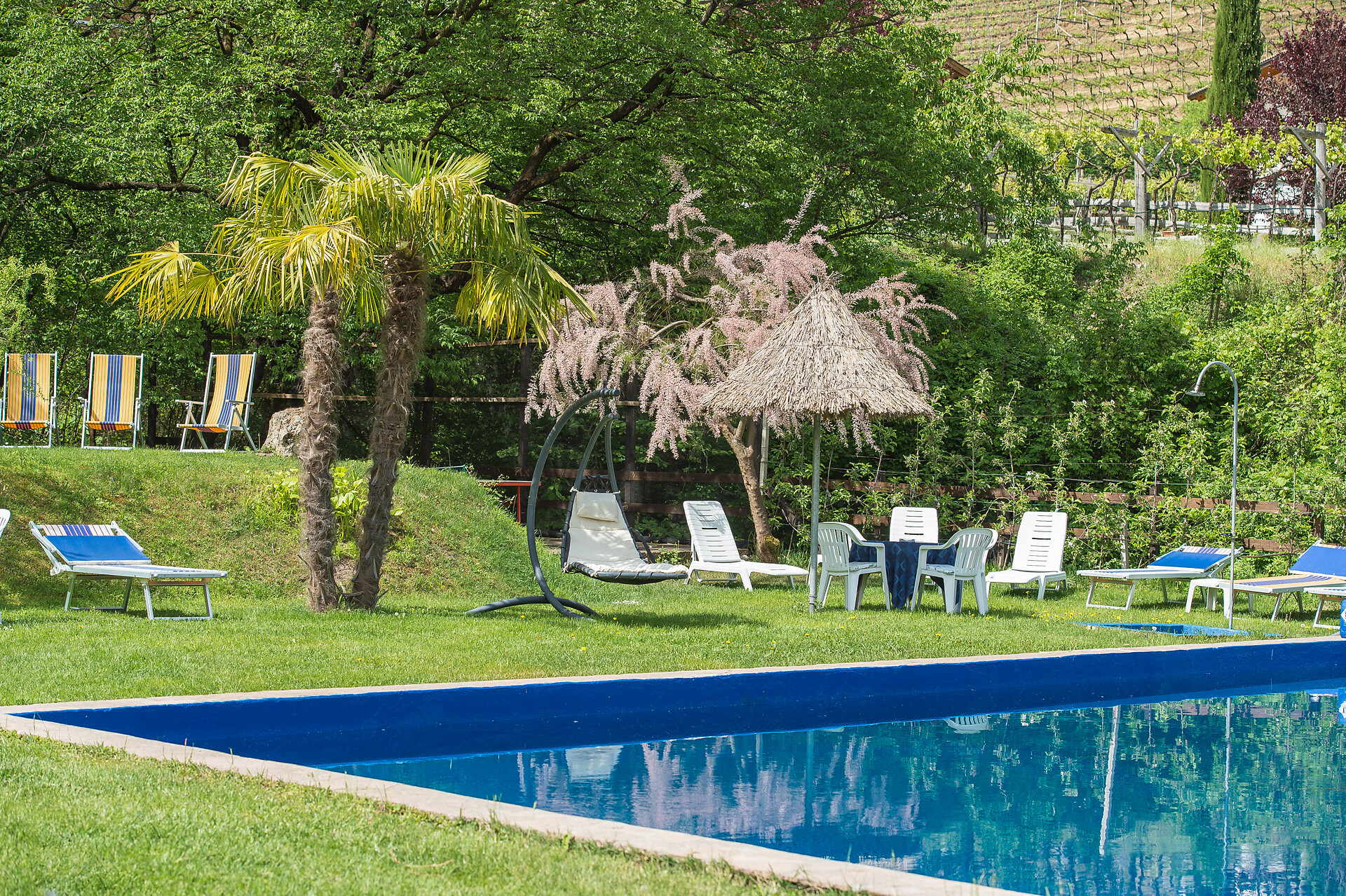 Swimmingpool