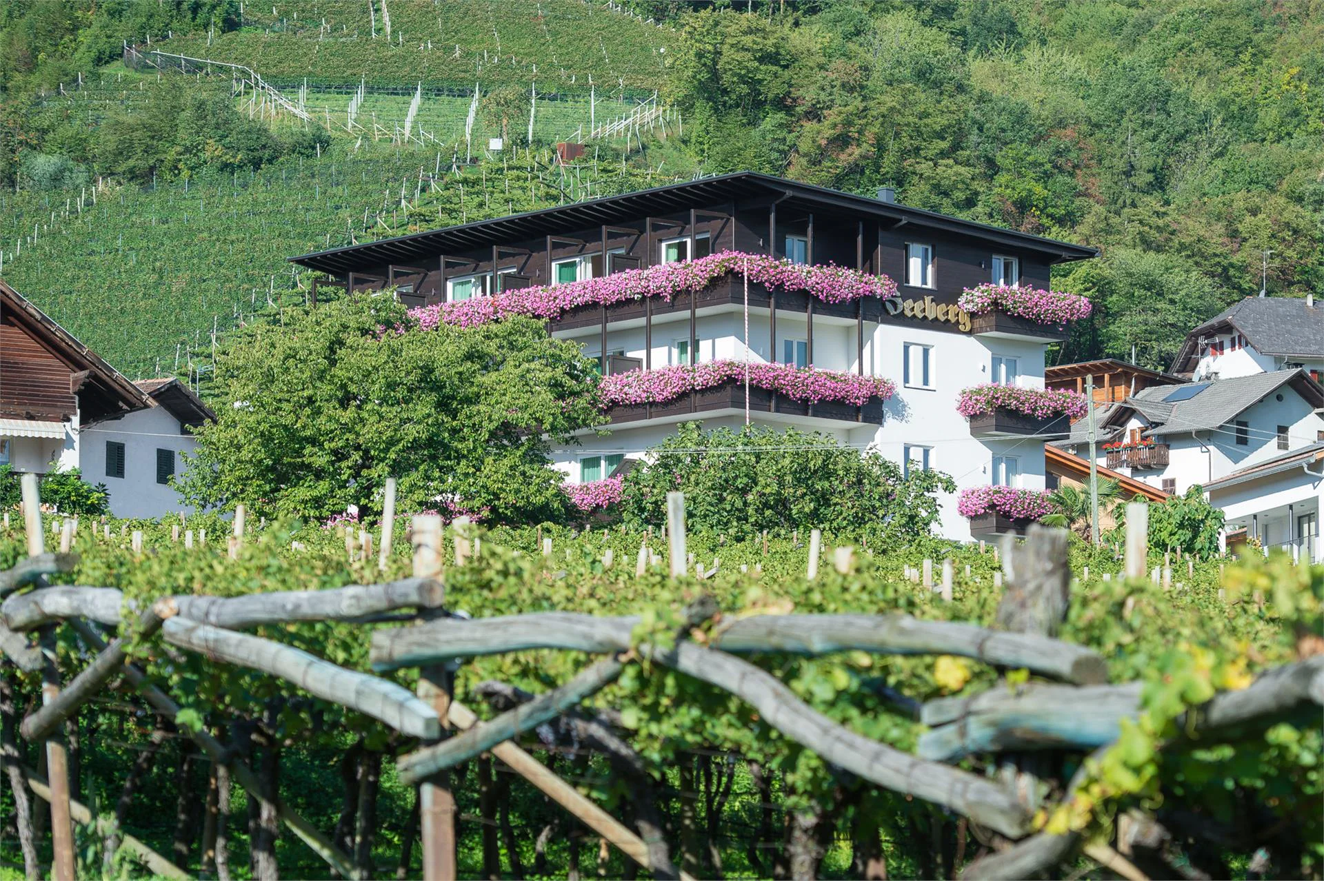 Seeberg Caldaro sulla Strada del Vino 2 suedtirol.info