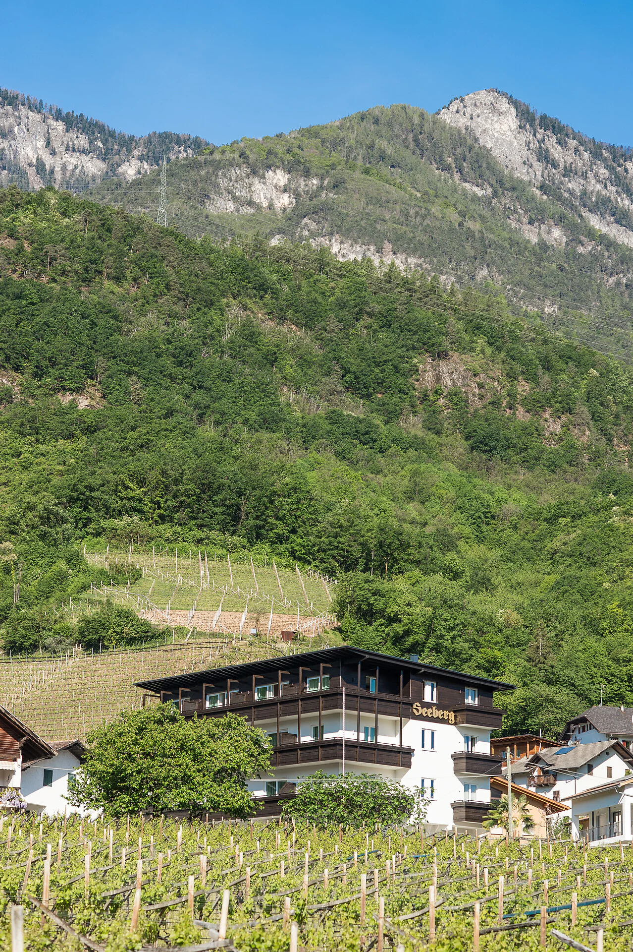 Seeberg Caldaro sulla Strada del Vino 15 suedtirol.info