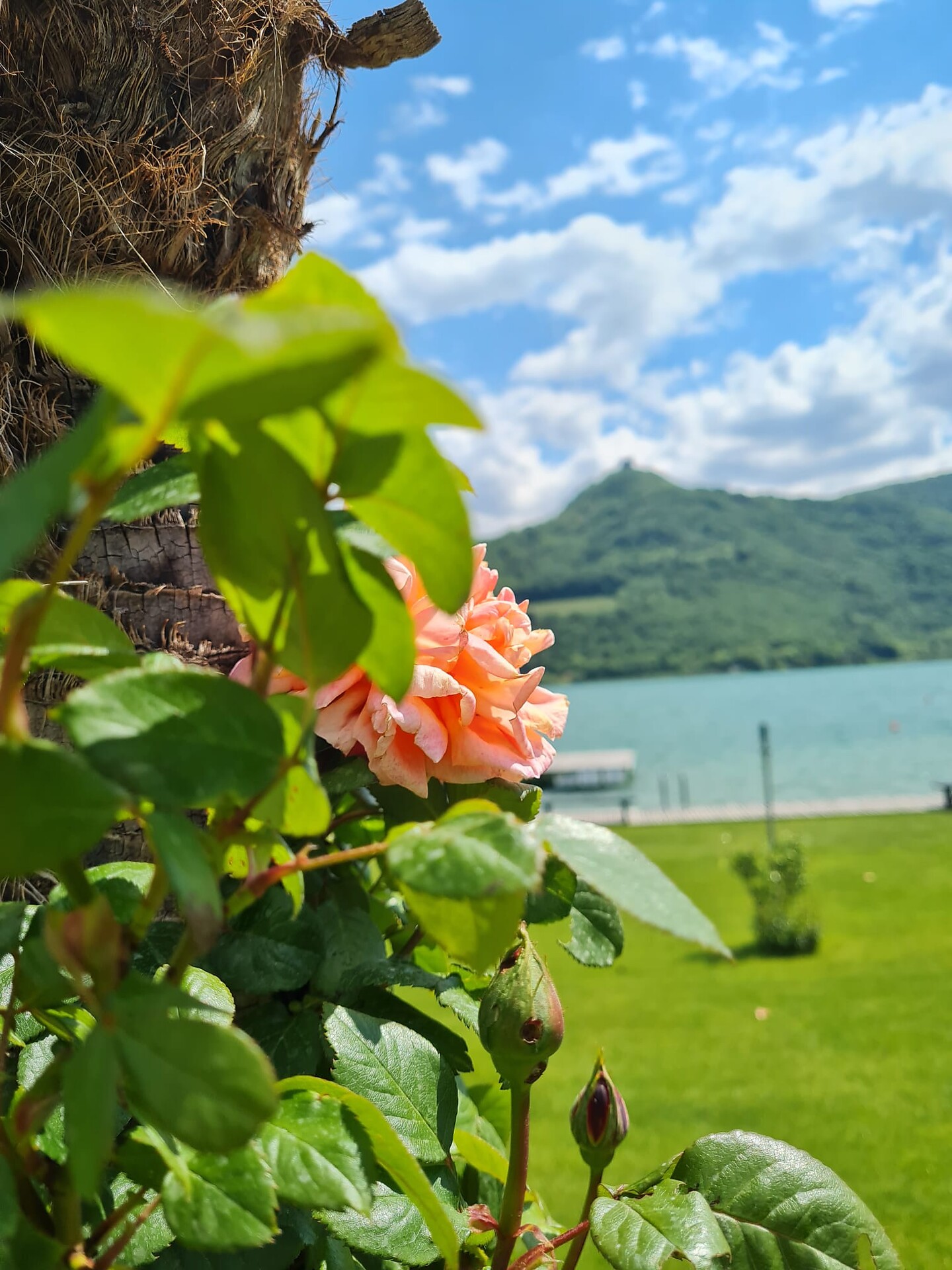 Lake of Caldaro