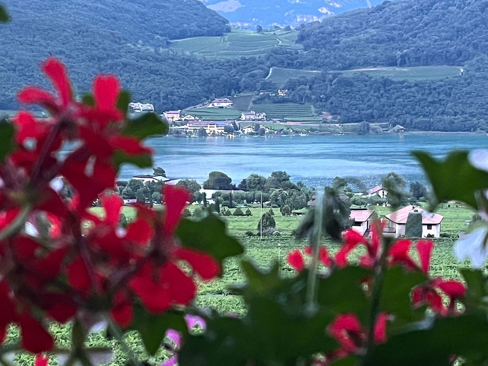 Panorama