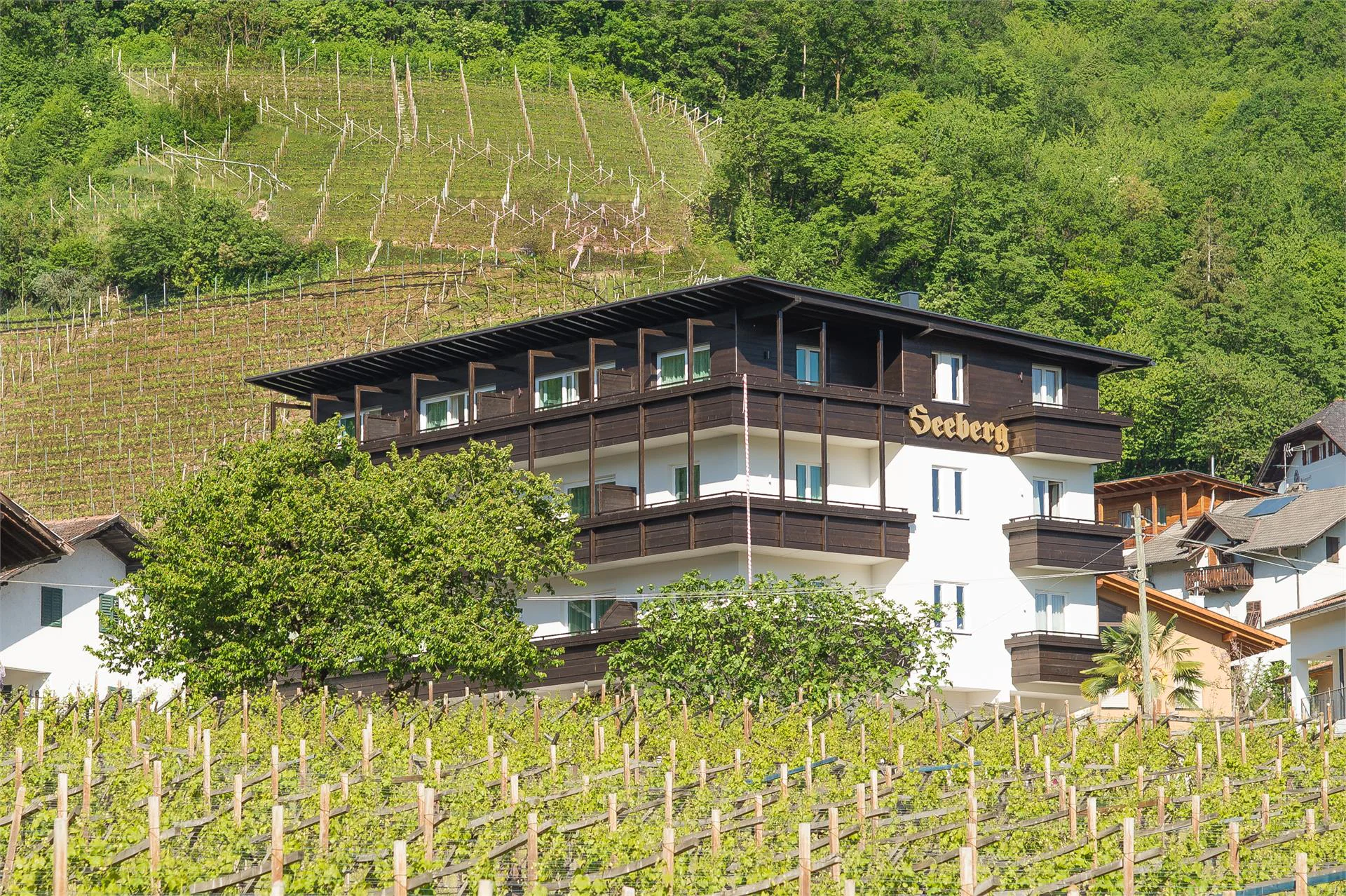 Seeberg Caldaro sulla Strada del Vino 7 suedtirol.info