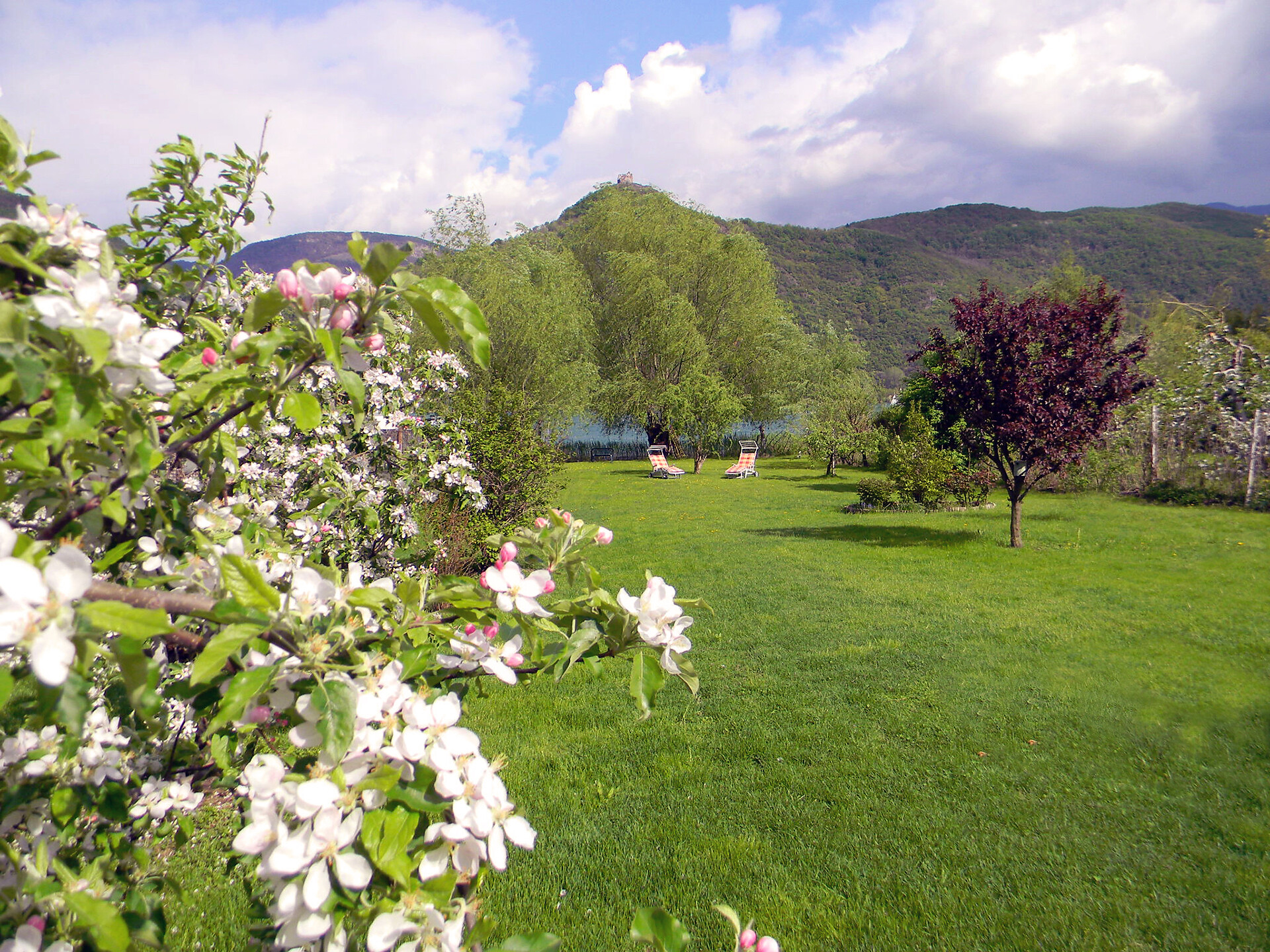 Frühling