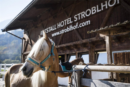 Stroblhof Active Family Spa Resort St.Leonhard in Passeier/San Leonardo in Passiria 18 suedtirol.info