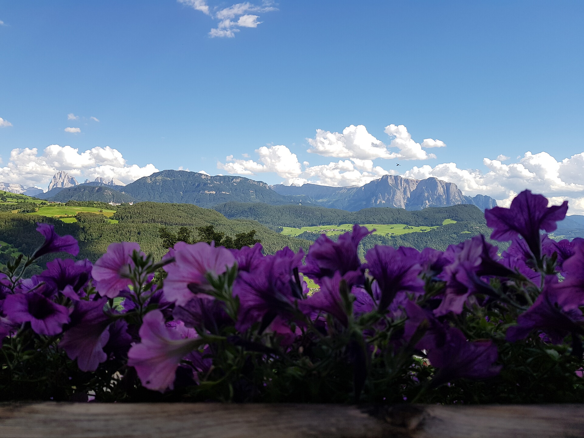 Balkonausblick