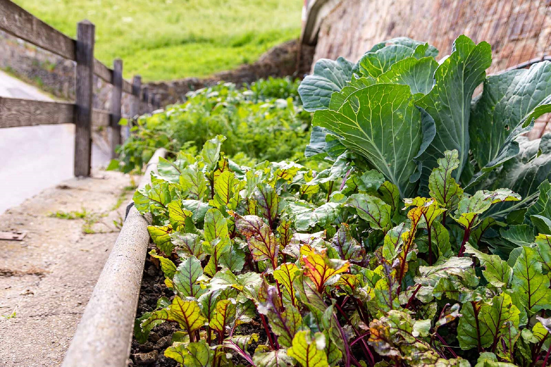 Garten