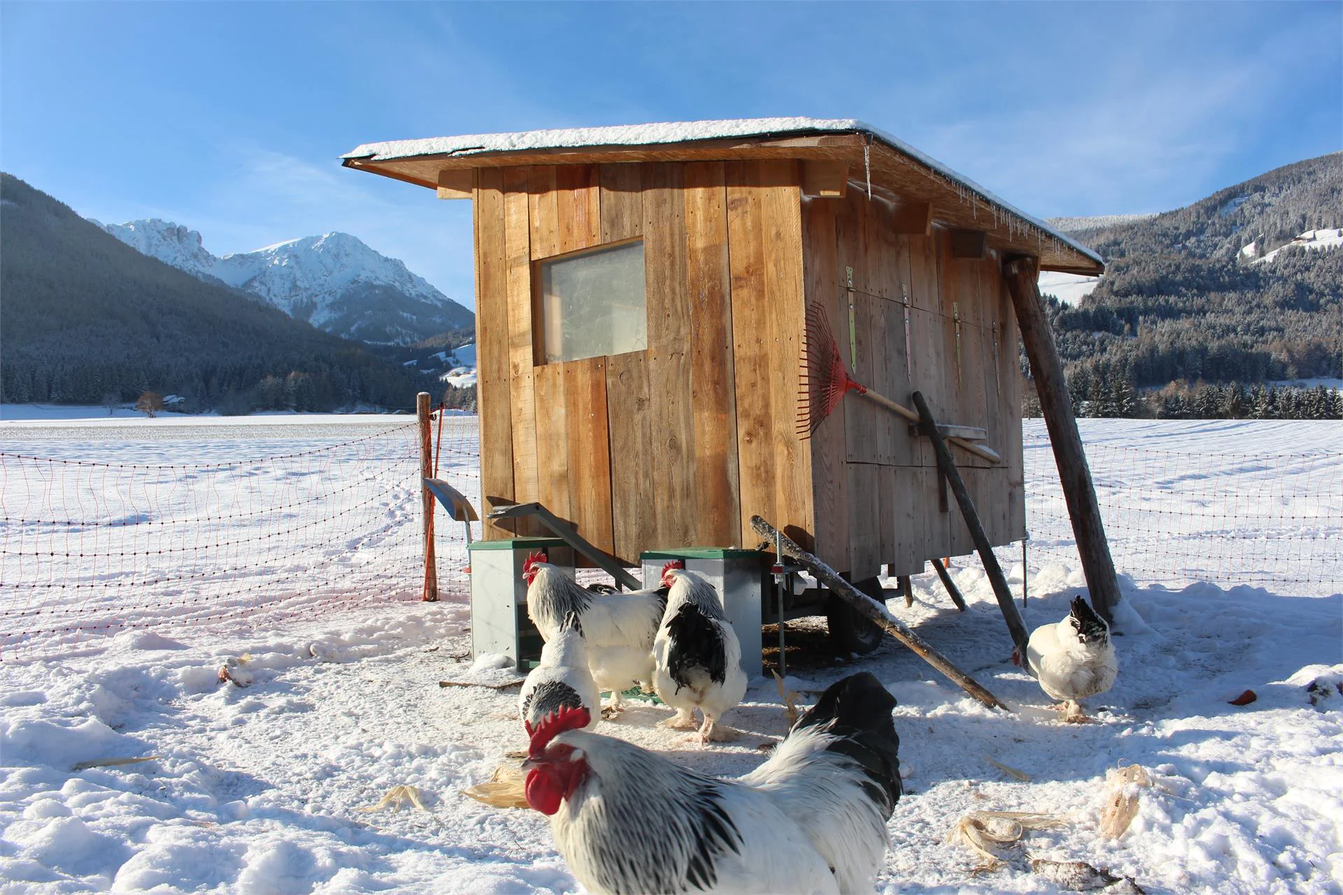 Schöneggerhof Olang/Valdaora 21 suedtirol.info