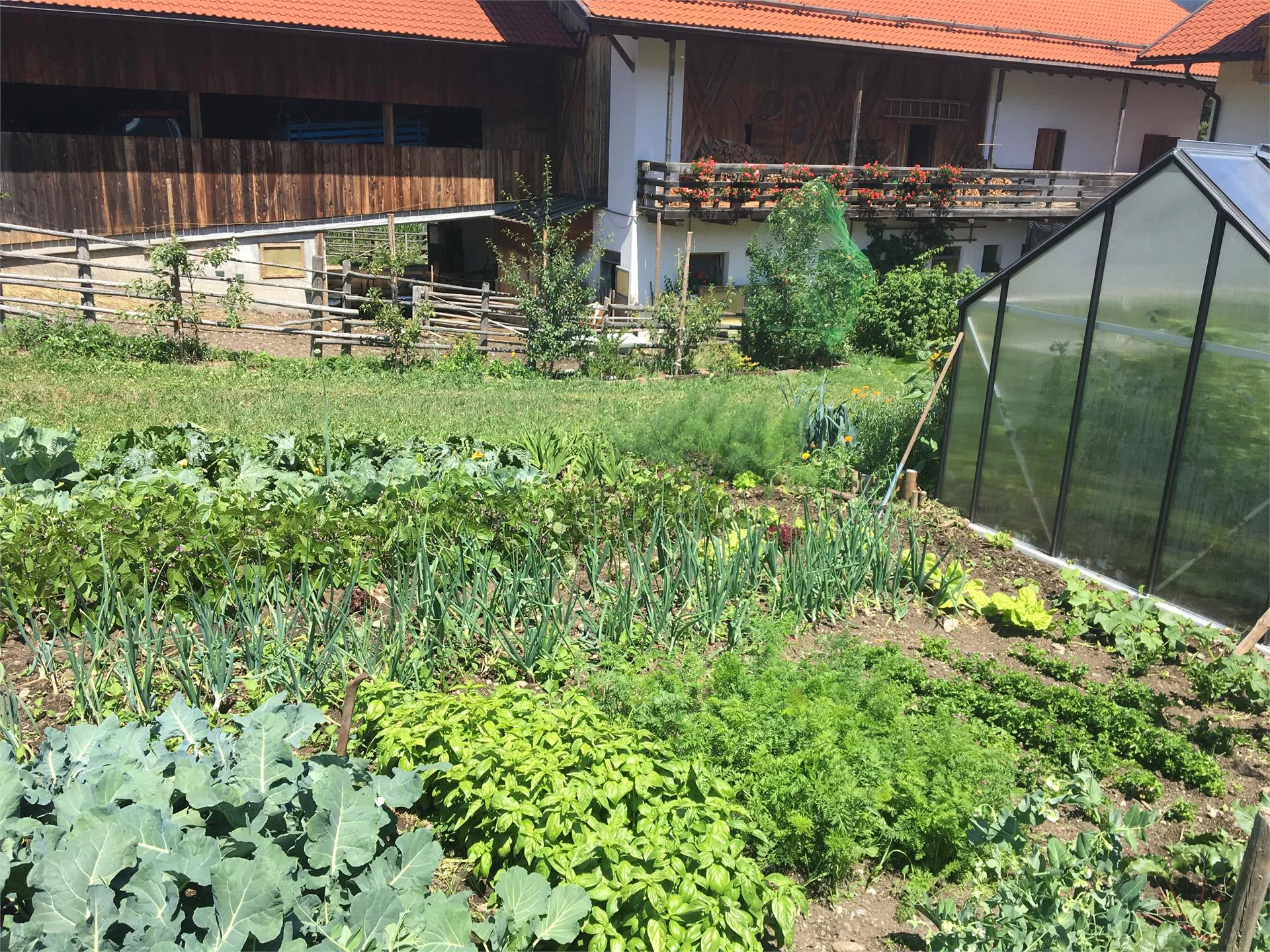Schöneggerhof Olang/Valdaora 16 suedtirol.info