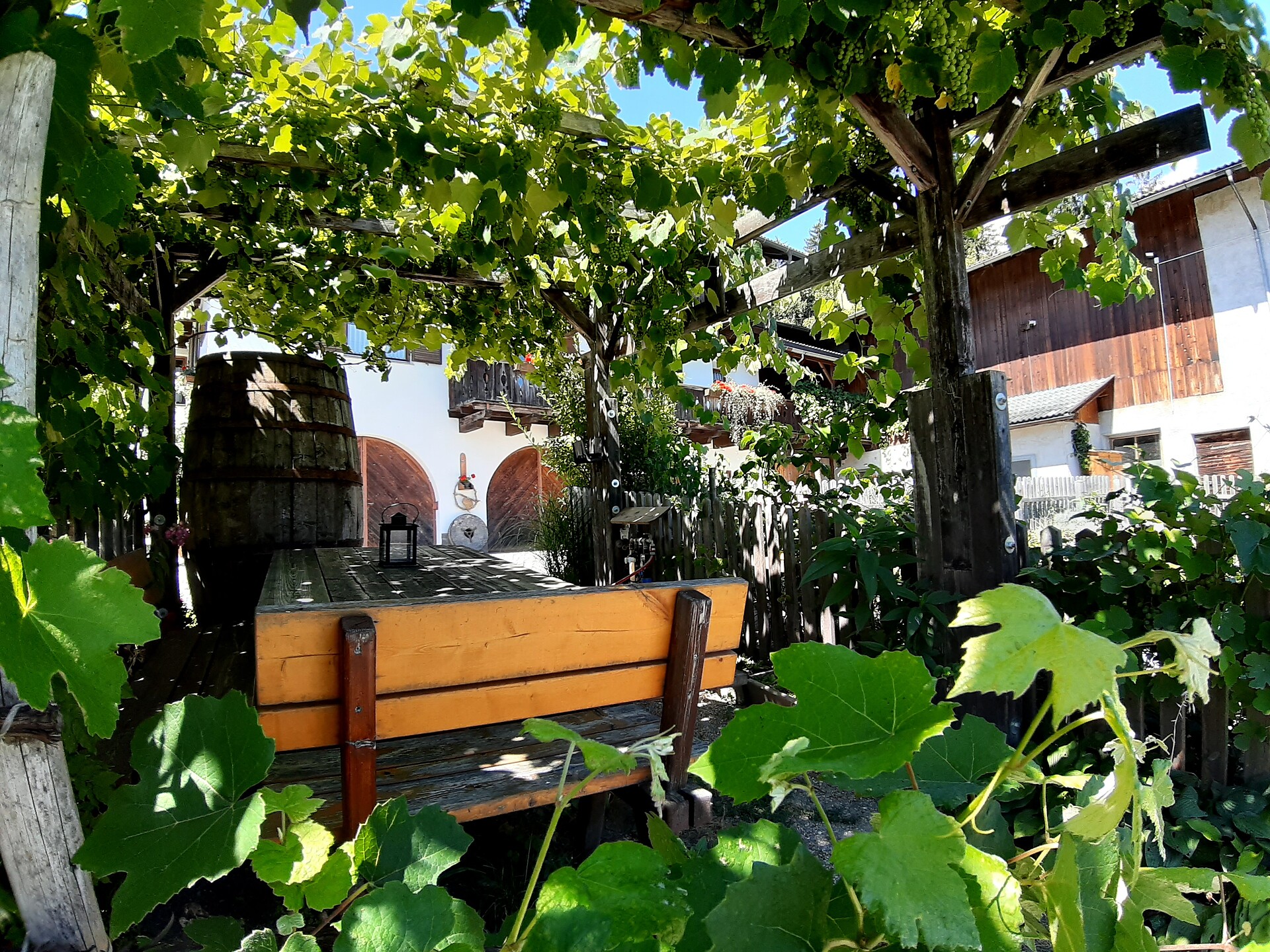 Giardino