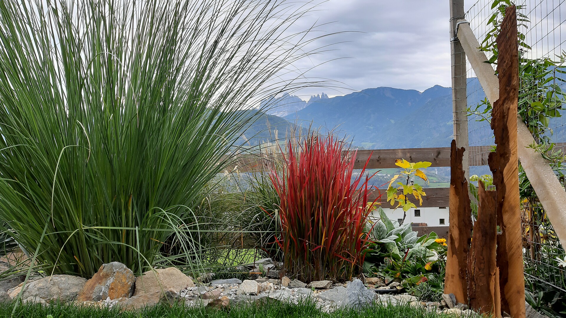 Giardino