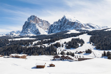 Saltria – your Alpine experience Castelrotto 7 suedtirol.info