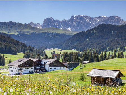 Saltria – your Alpine experience Castelrotto 1 suedtirol.info