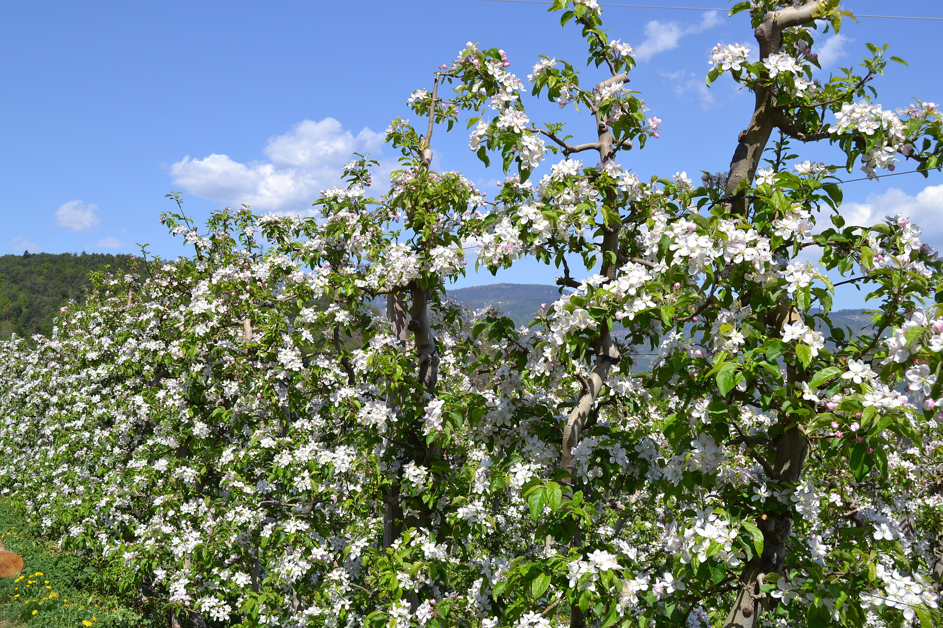 Impressionen Schmalzerhof