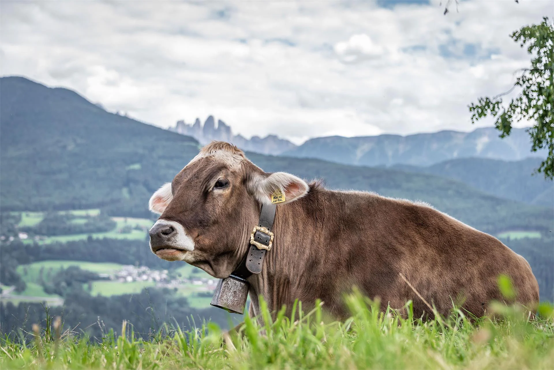 Sigmundhof Bressanone 8 suedtirol.info