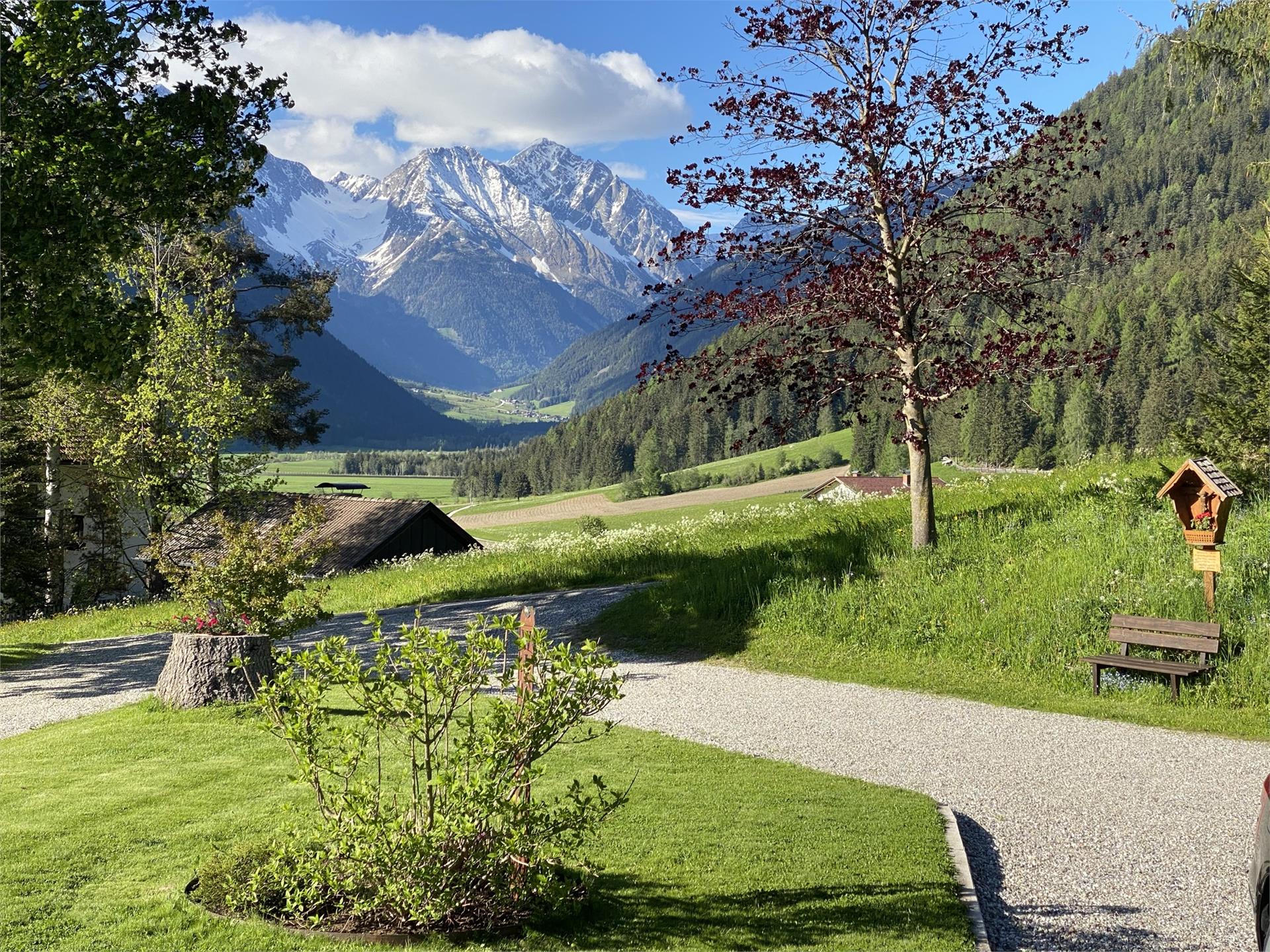 Schöpferhof Rasun Anterselva 11 suedtirol.info