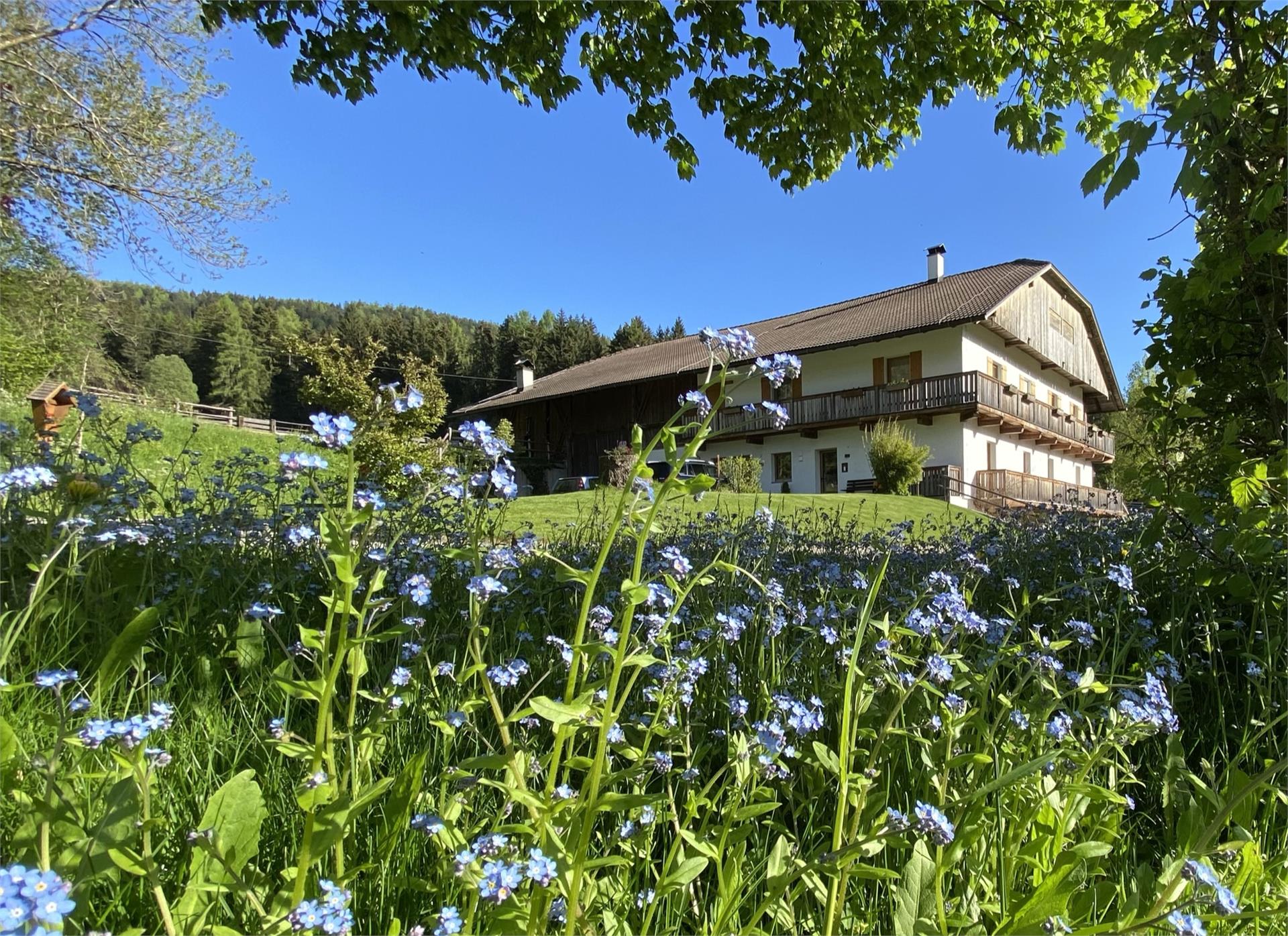 Schöpferhof Rasun Anterselva 2 suedtirol.info