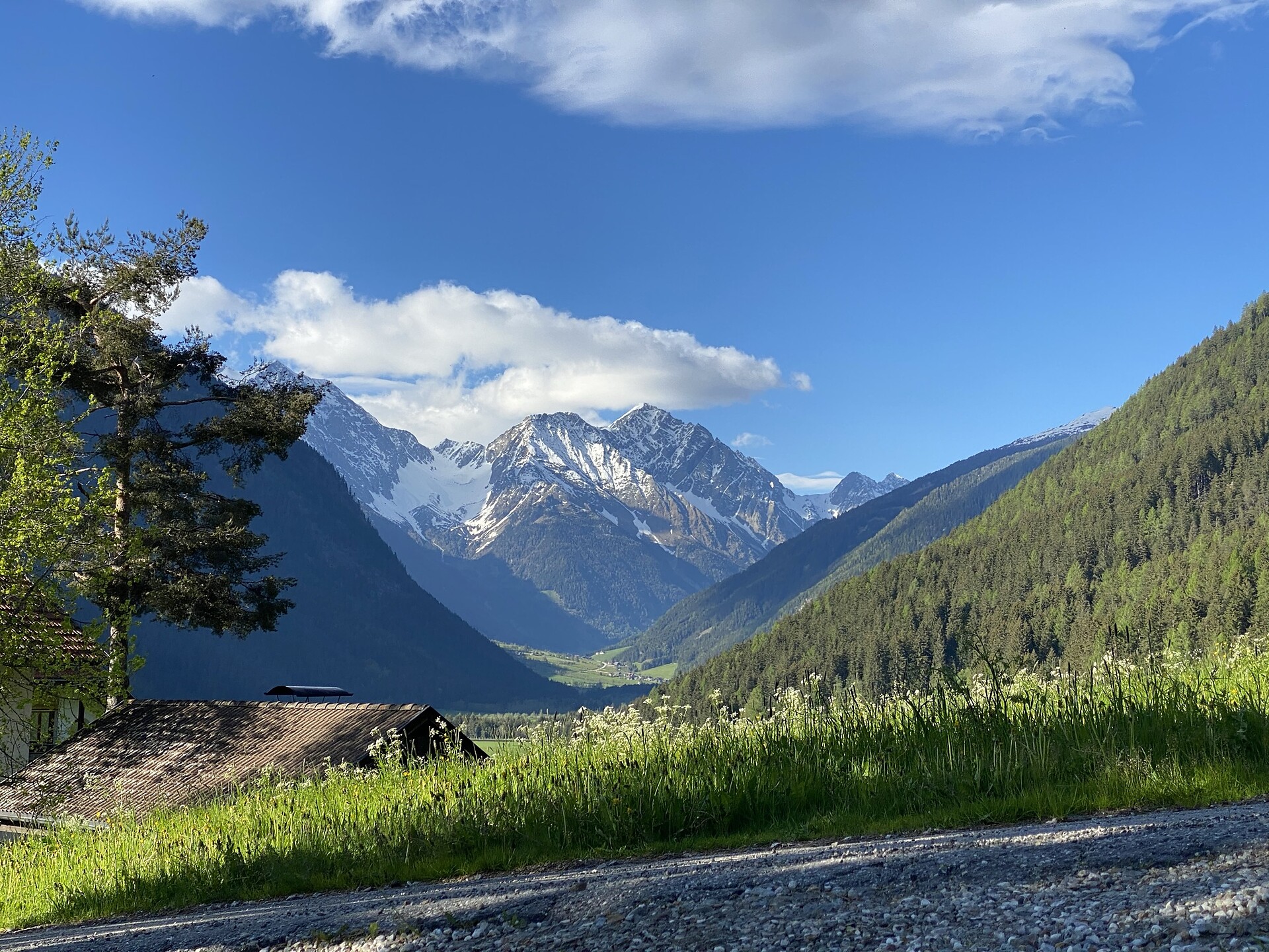 Aussicht ins Antholzertal