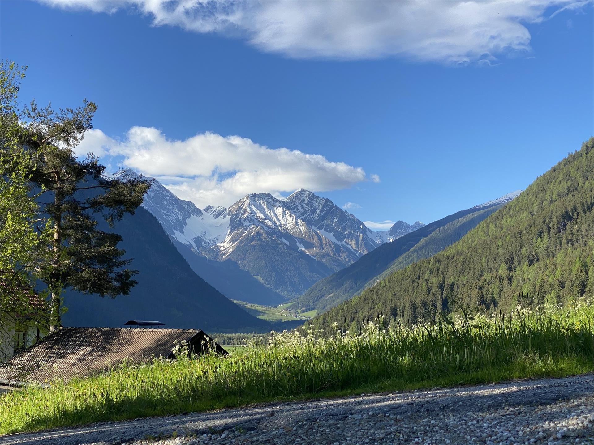 Schöpferhof Rasun Anterselva 14 suedtirol.info