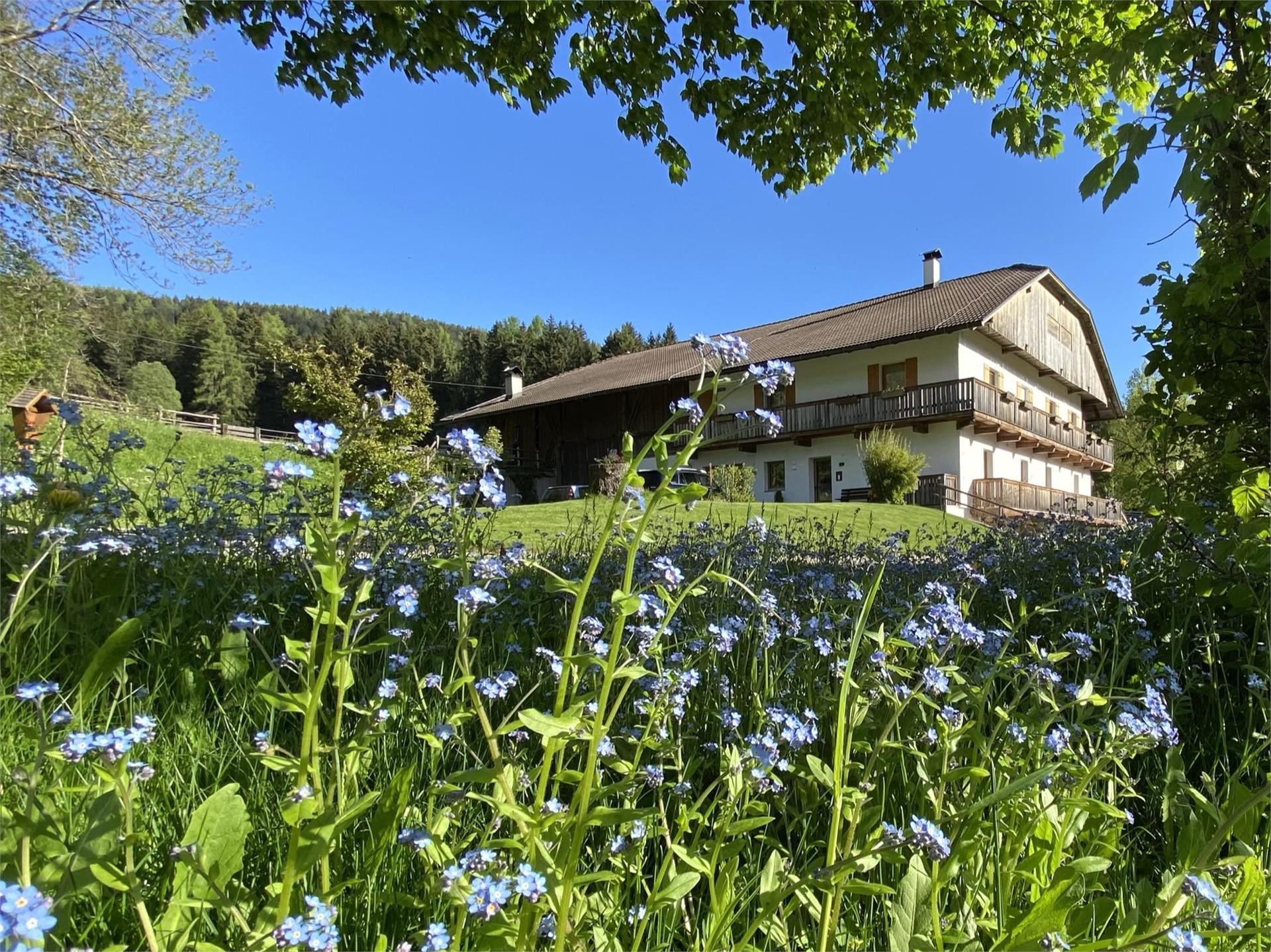Schöpferhof Rasun Anterselva 1 suedtirol.info
