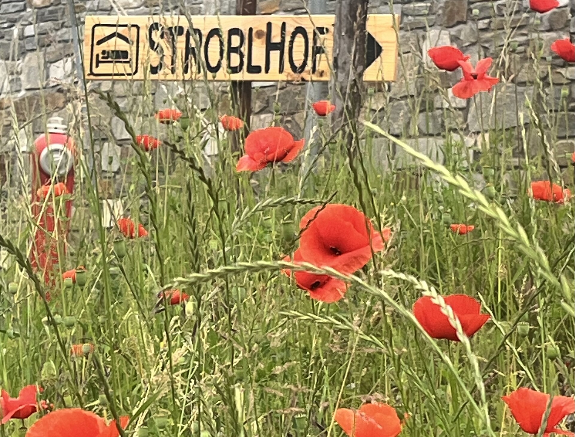 Stroblhof