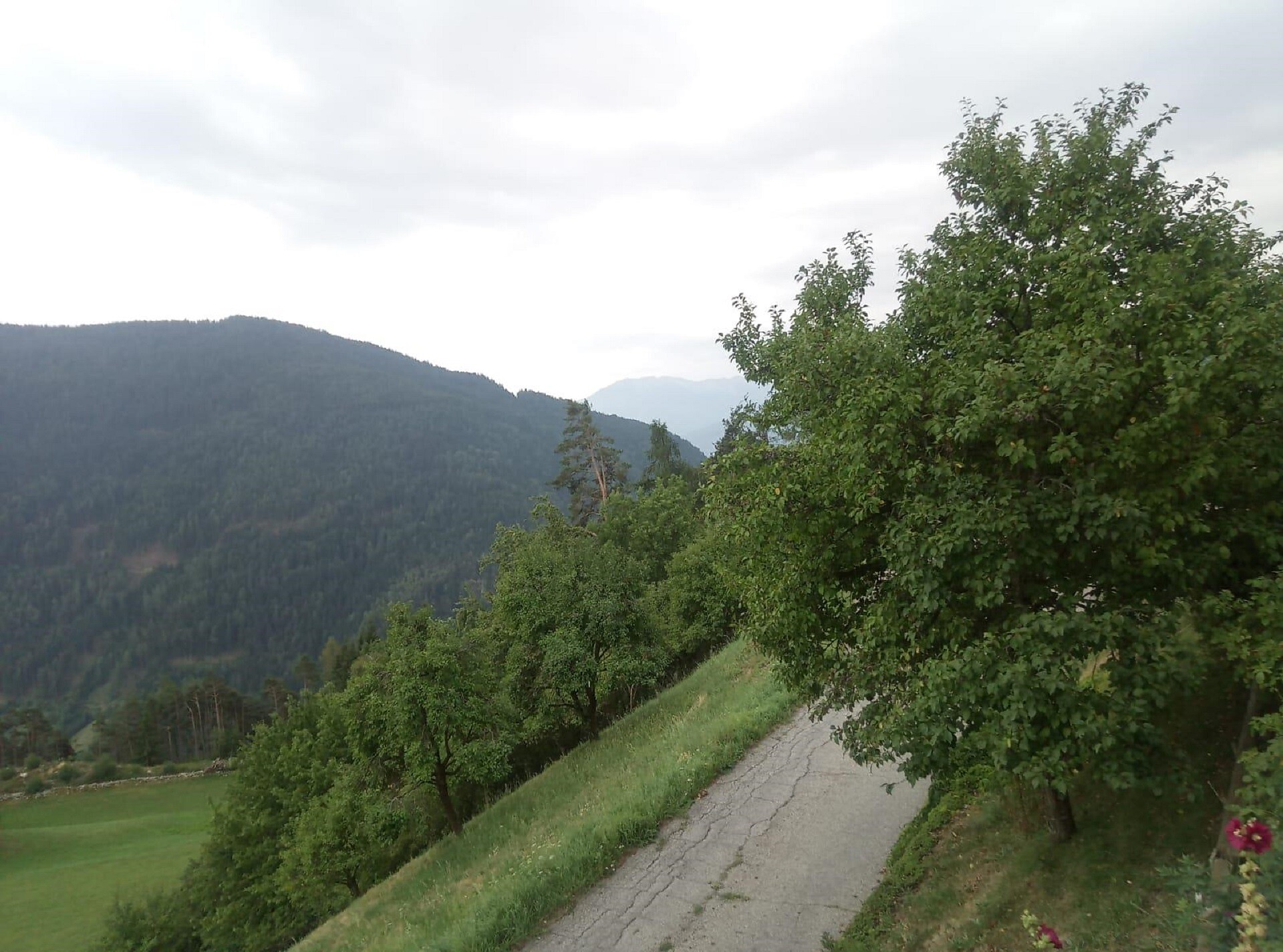 Ausblick