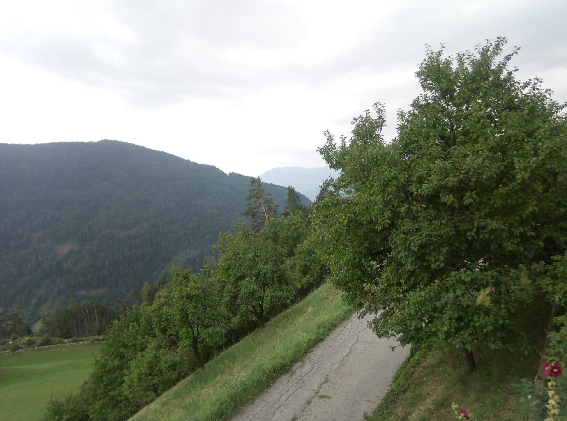 Stöcklhuberhof Vintl/Vandoies 11 suedtirol.info