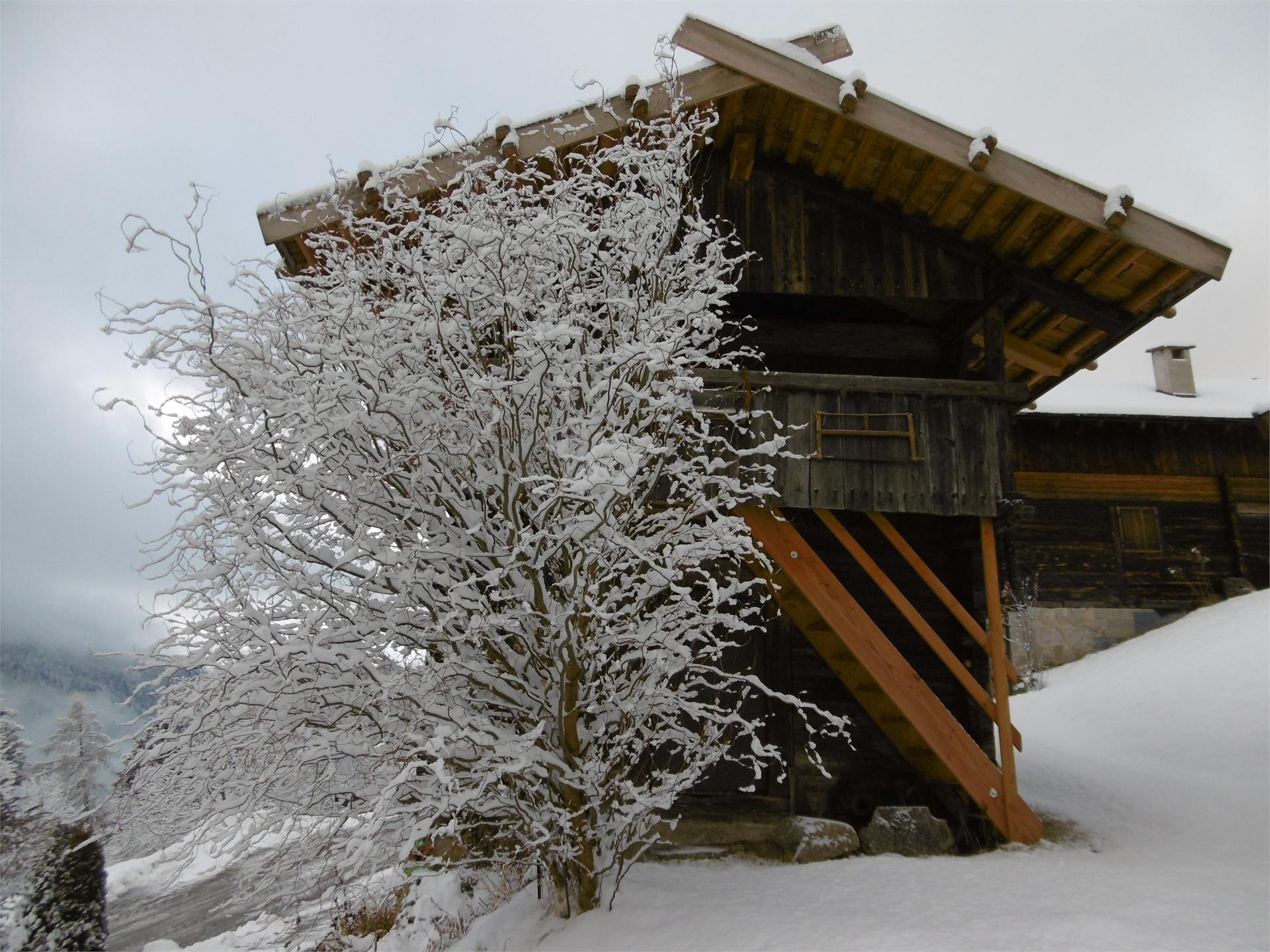 Stöcklhuberhof Vintl/Vandoies 13 suedtirol.info