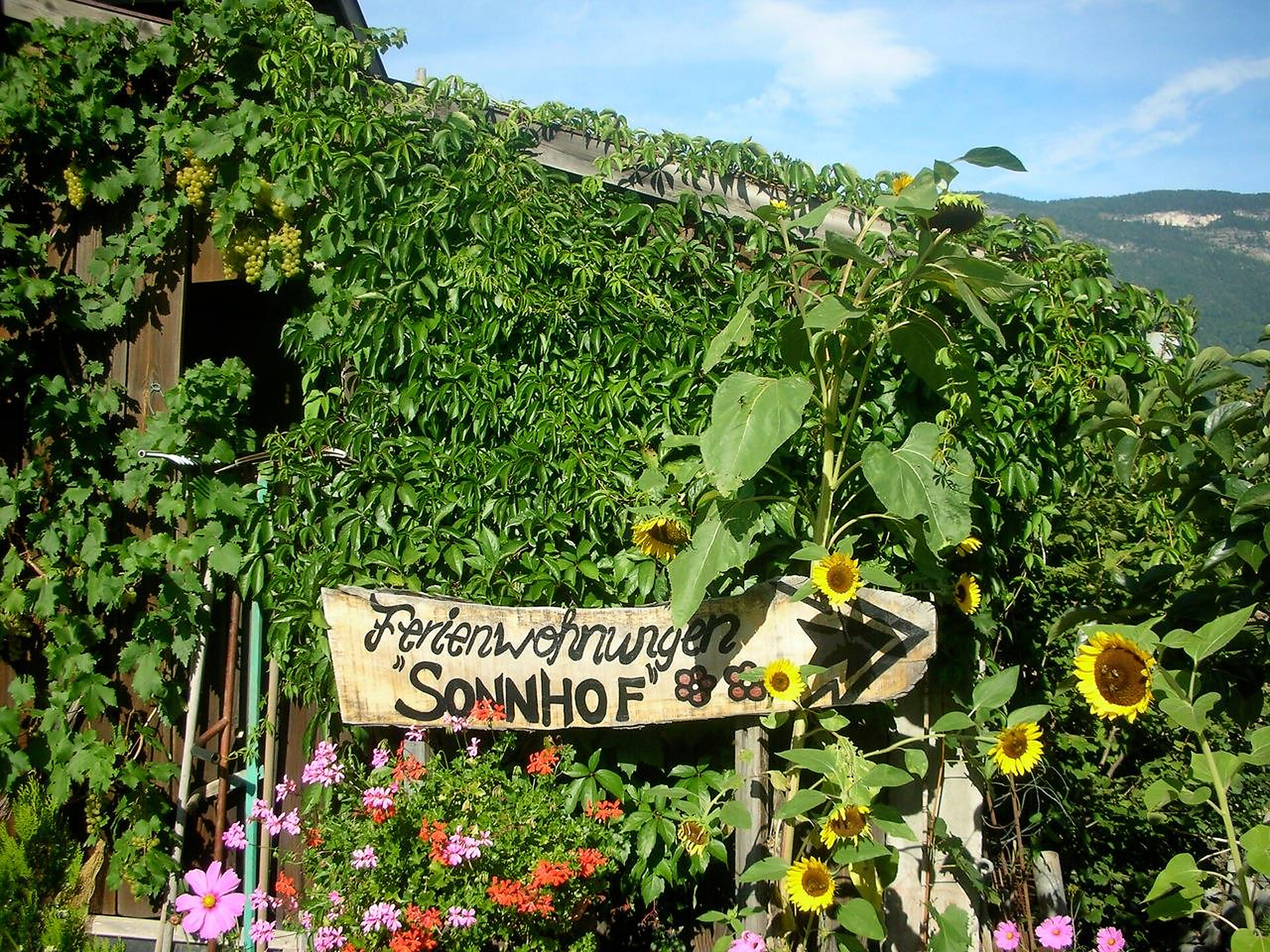 Sonnhof