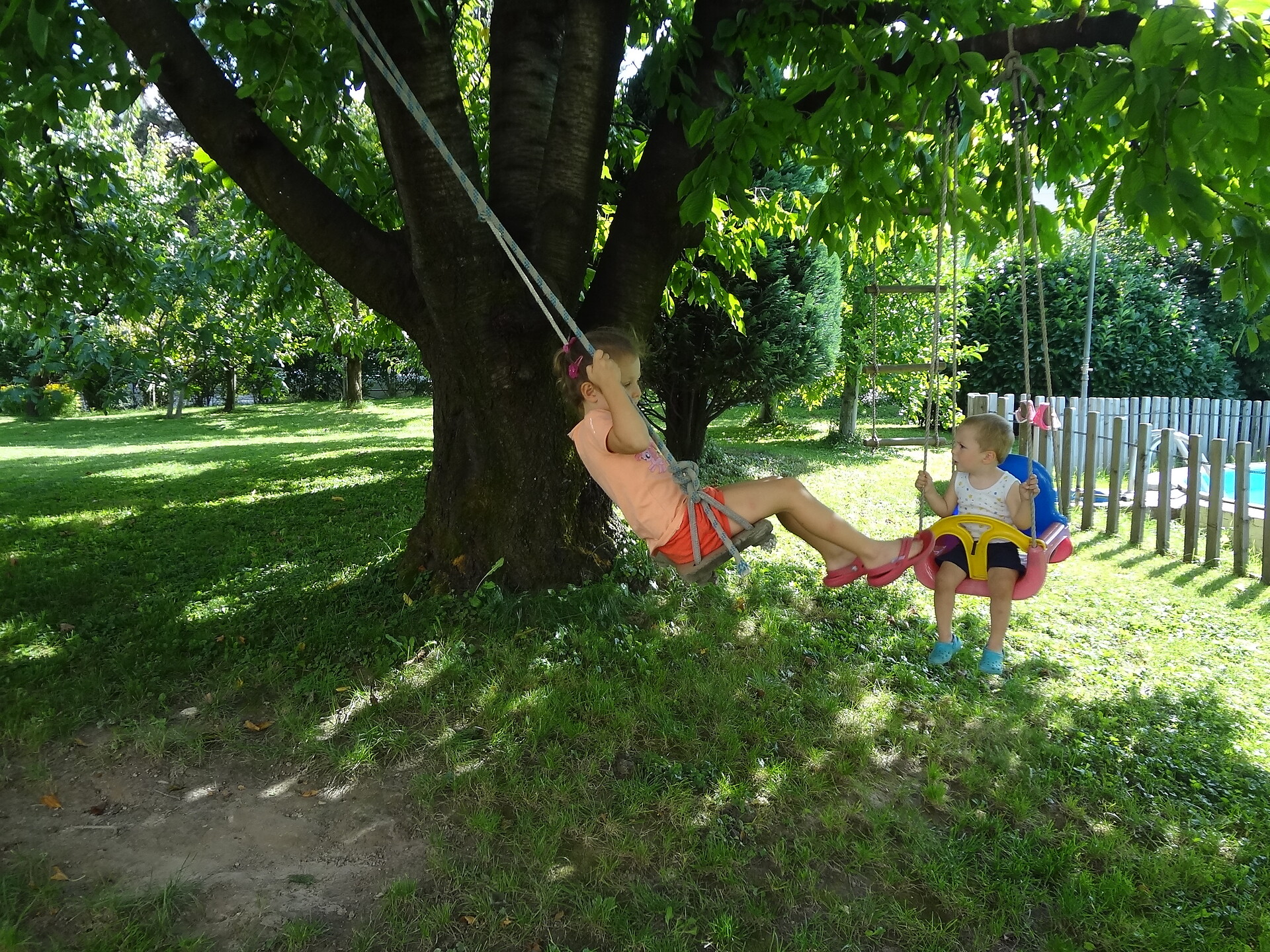 The swing