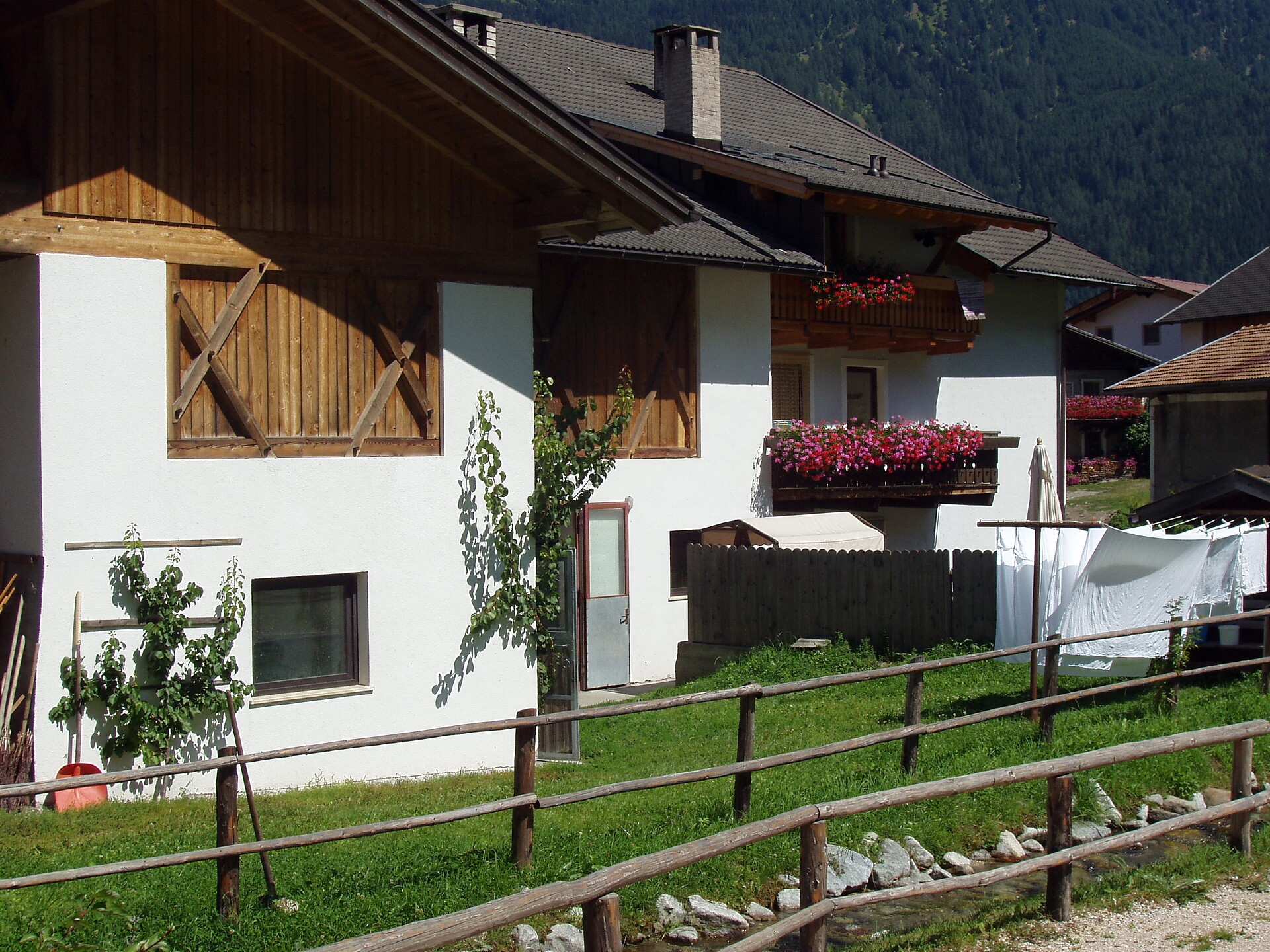 Saxlhof