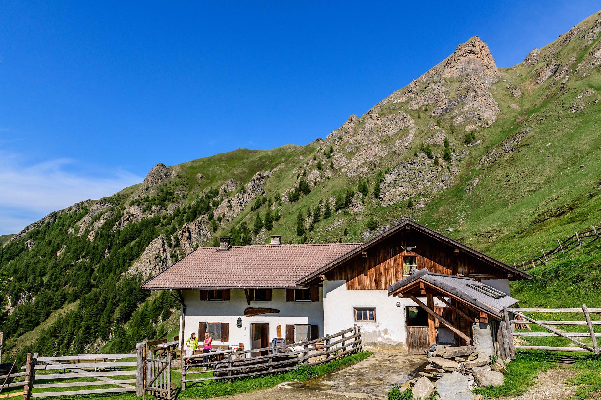 Simile Mahd Alm Freienfeld/Campo di Trens 1 suedtirol.info