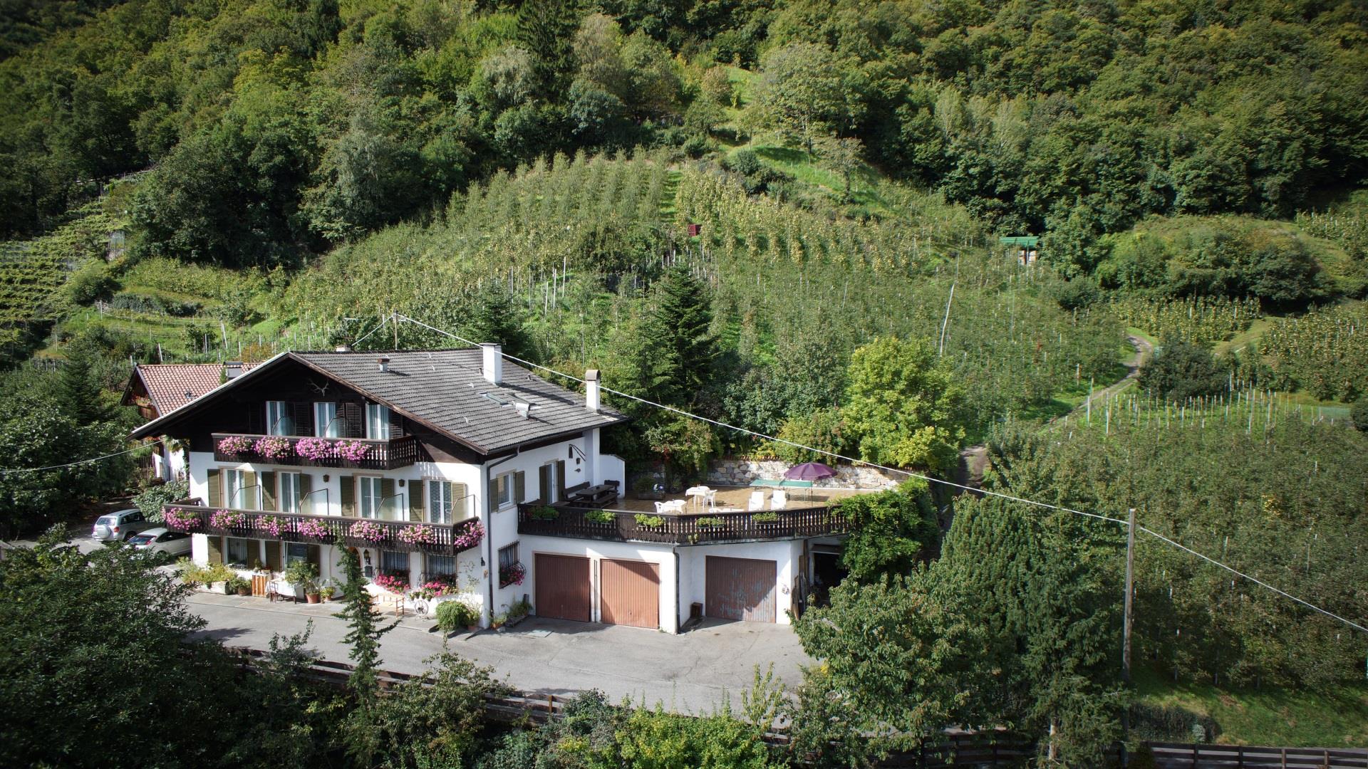 Schießbichler Marling/Marlengo 2 suedtirol.info