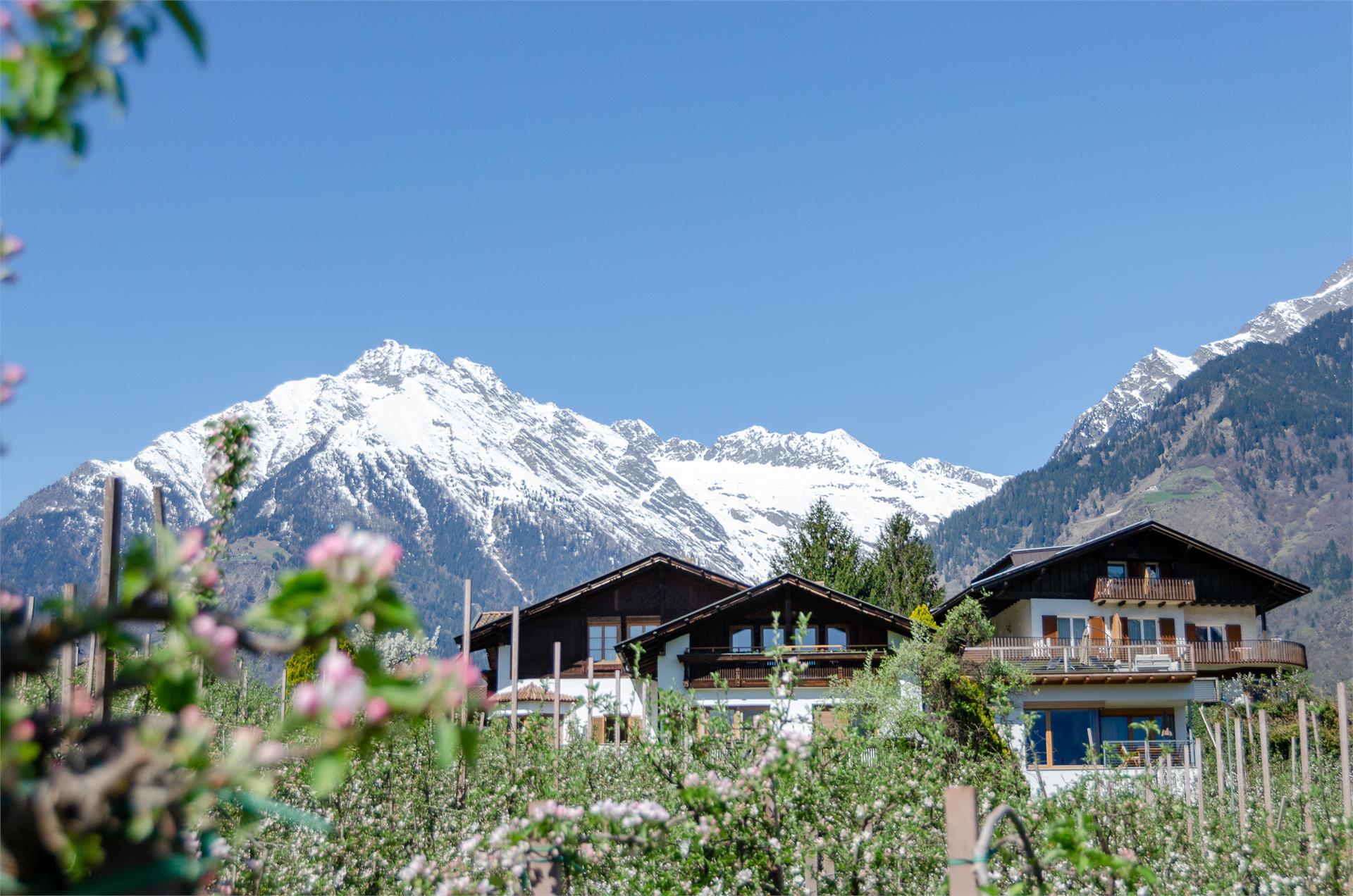 Sonnbichl Marling 2 suedtirol.info