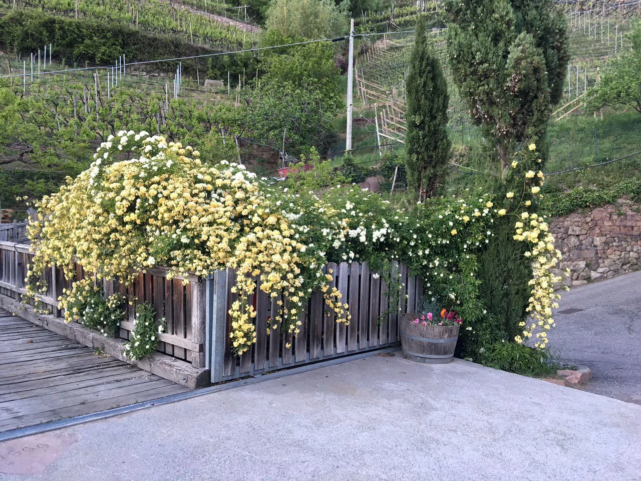 STEIDLERHOF Bolzano/Bozen 8 suedtirol.info