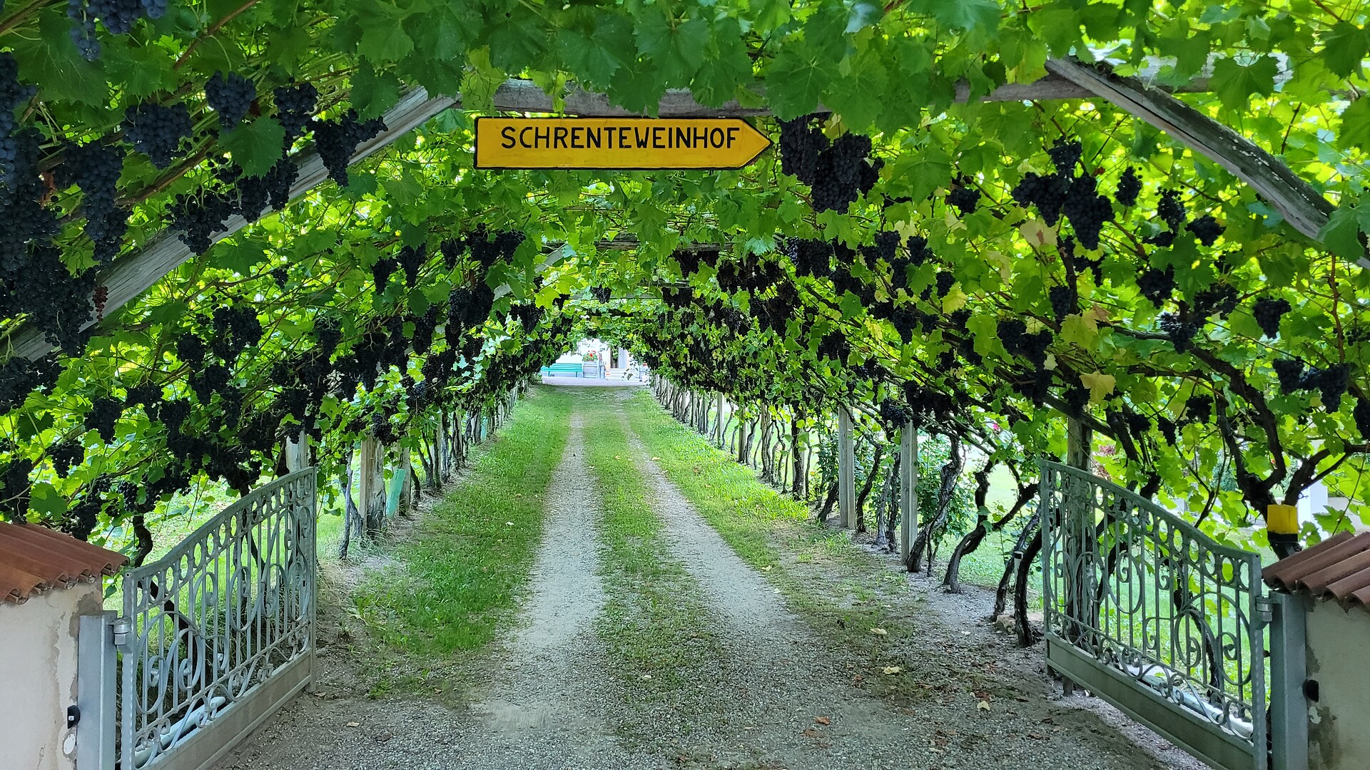 Schrenteweinhof