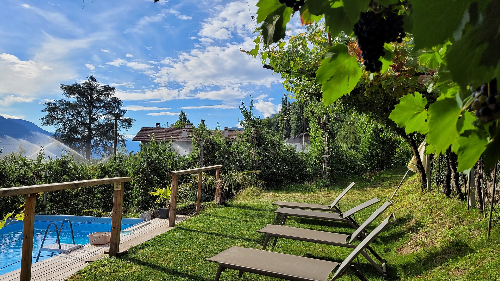 Schrenteweinhof